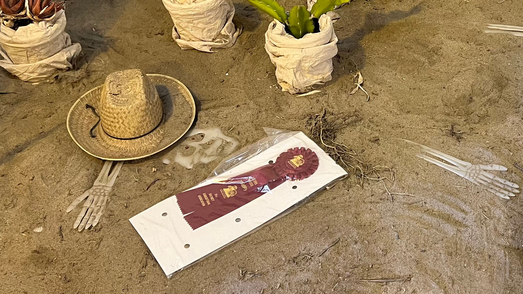 Desert Pete Floriculture Desert Pete