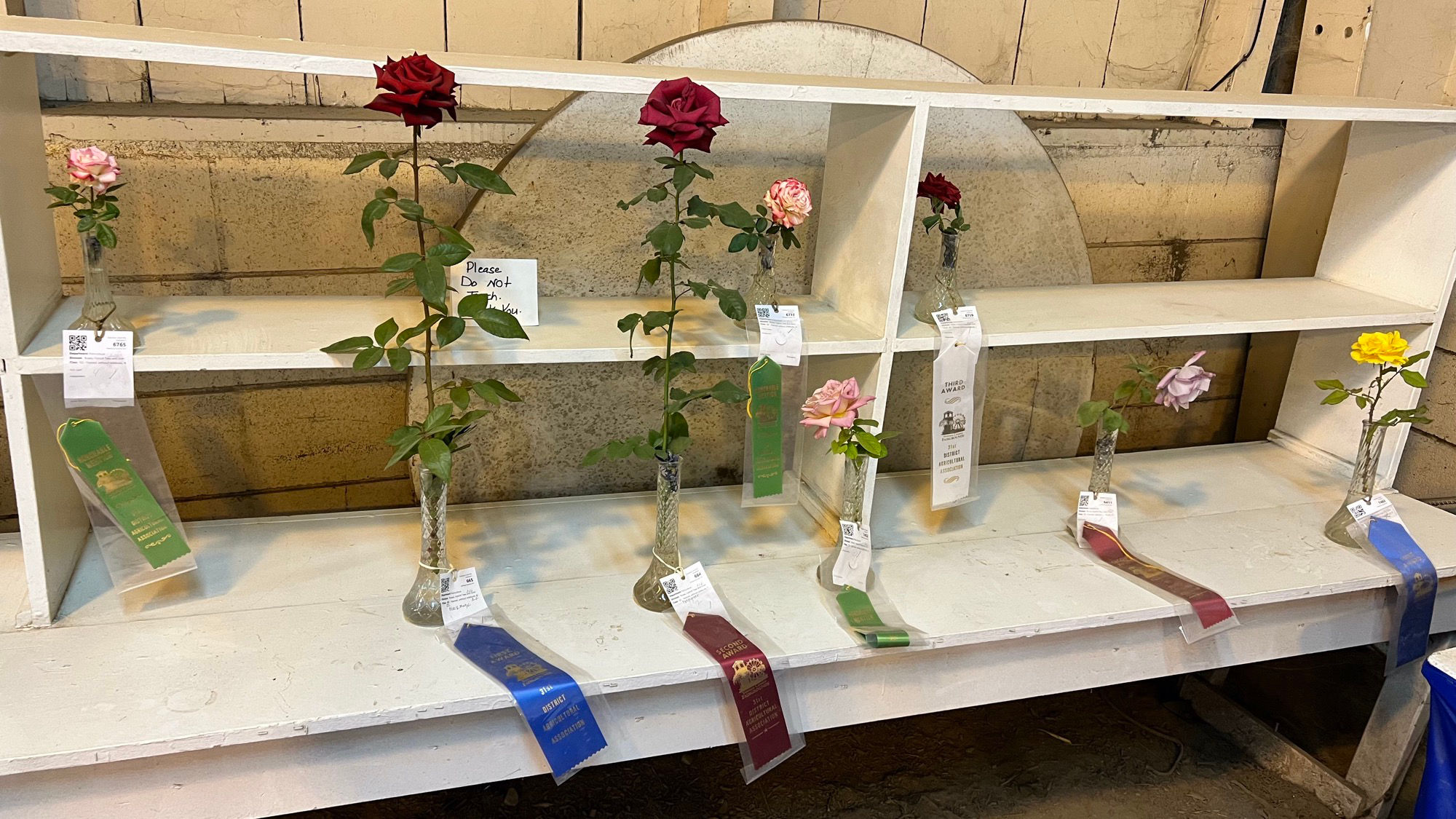 Floriculture Roses