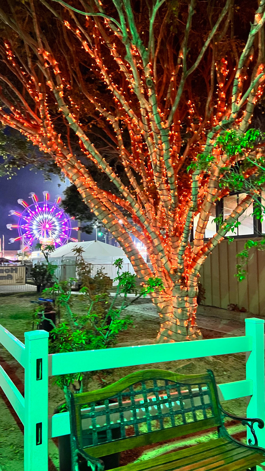 Floriculture Tree Lights in Front