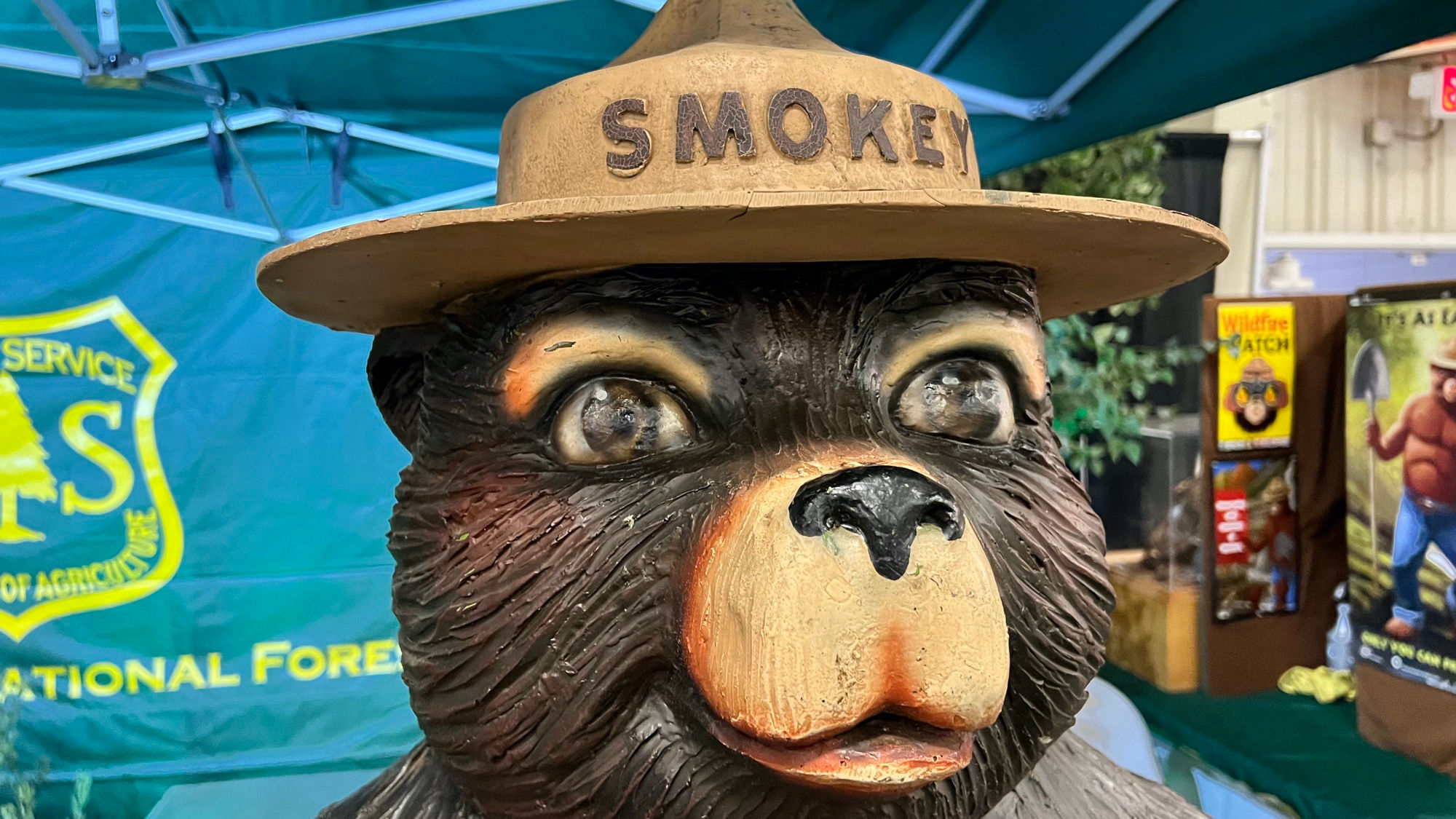 Los Padres National Forest Smokey the Bear