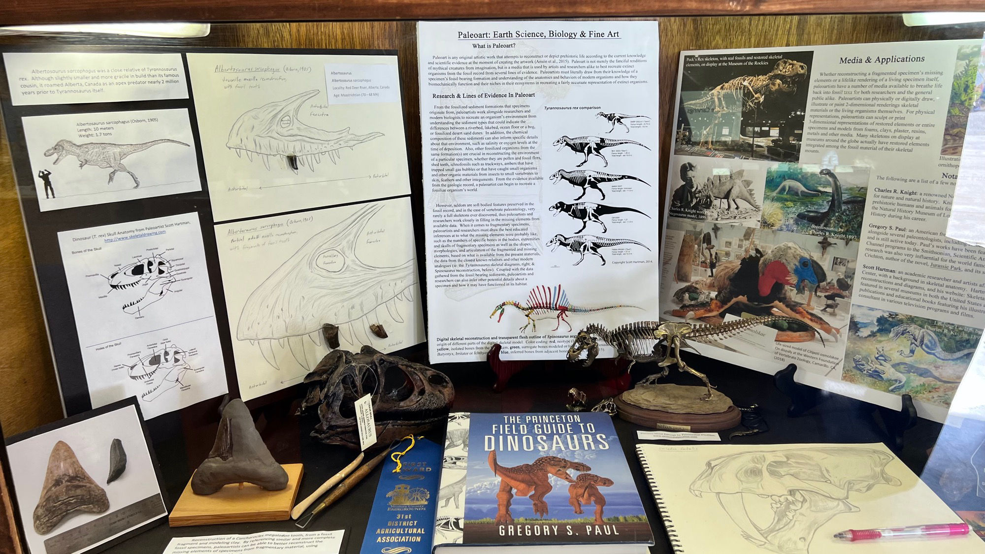 Paleoart Fossils Paleoart