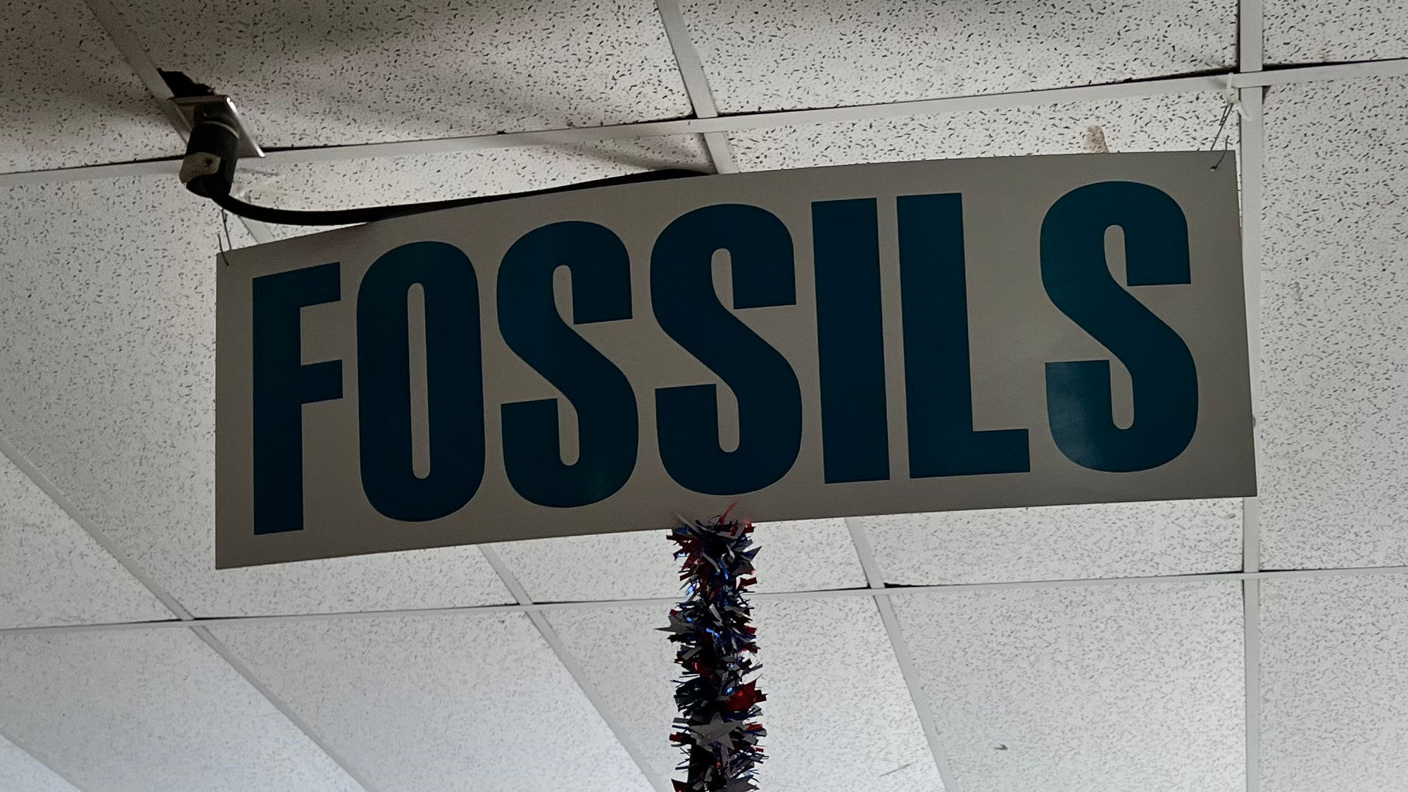 Fossils Sign