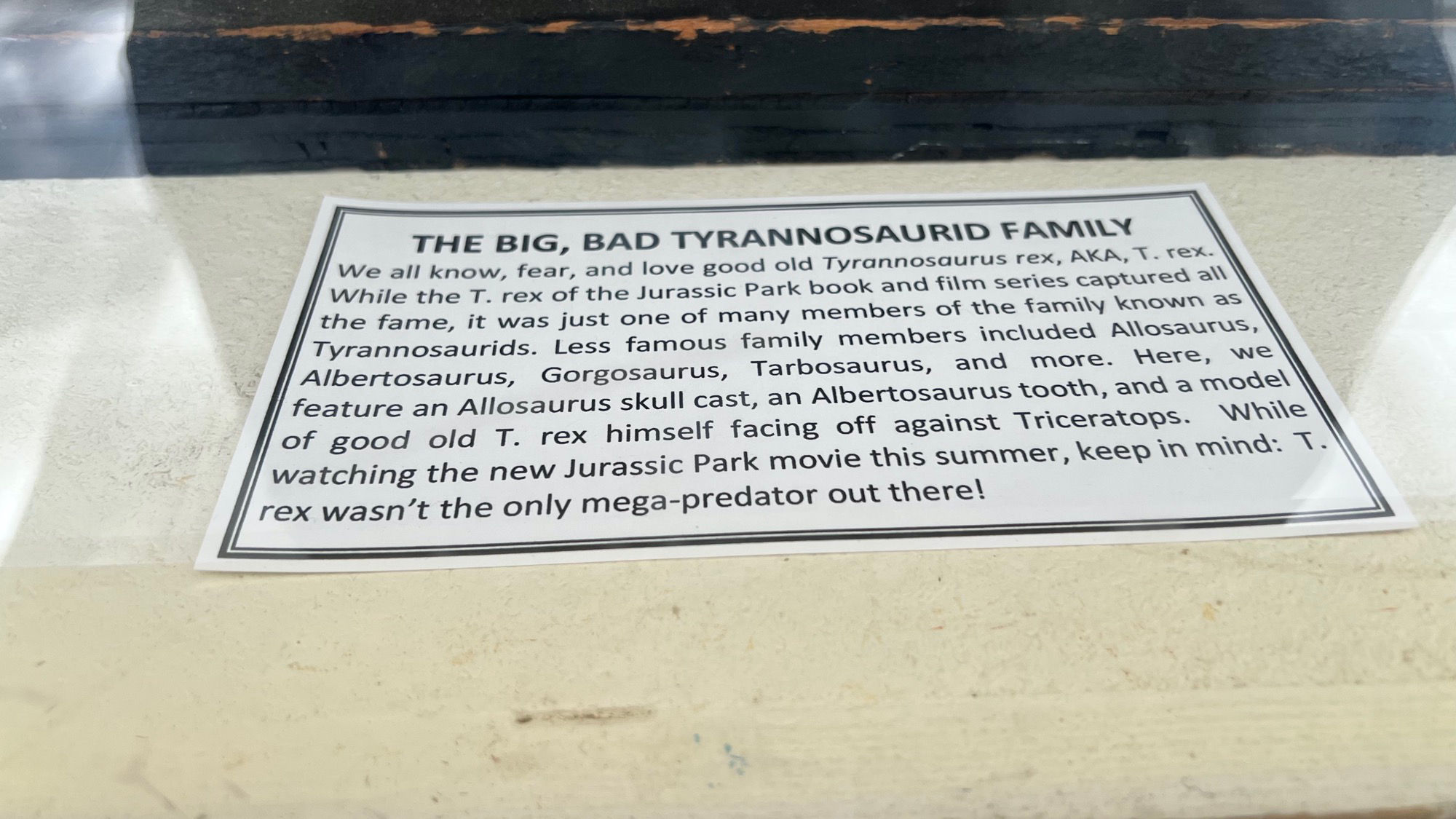 Tyrannosaurid Family Fossils Tyrannosaurid Family