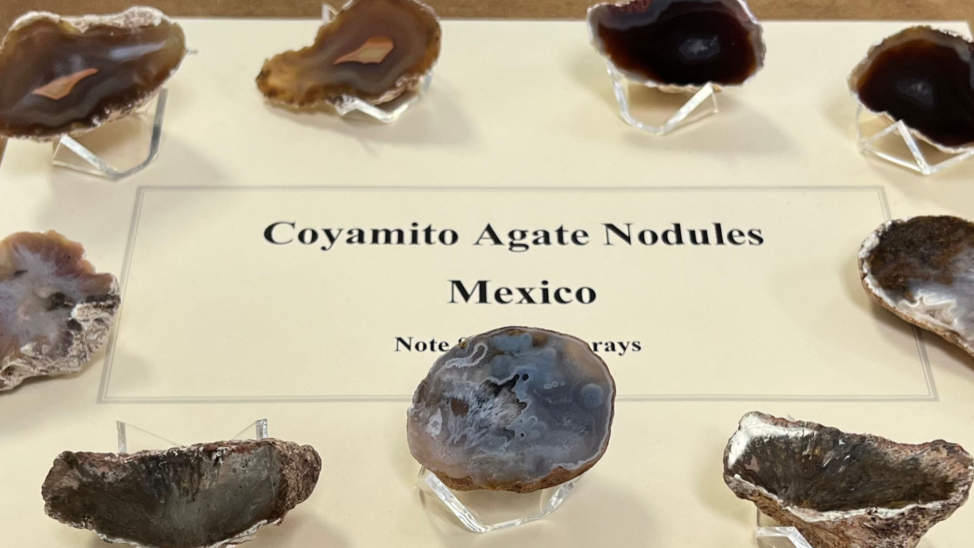 Gems and Minerals Coyamito Agate Nodules