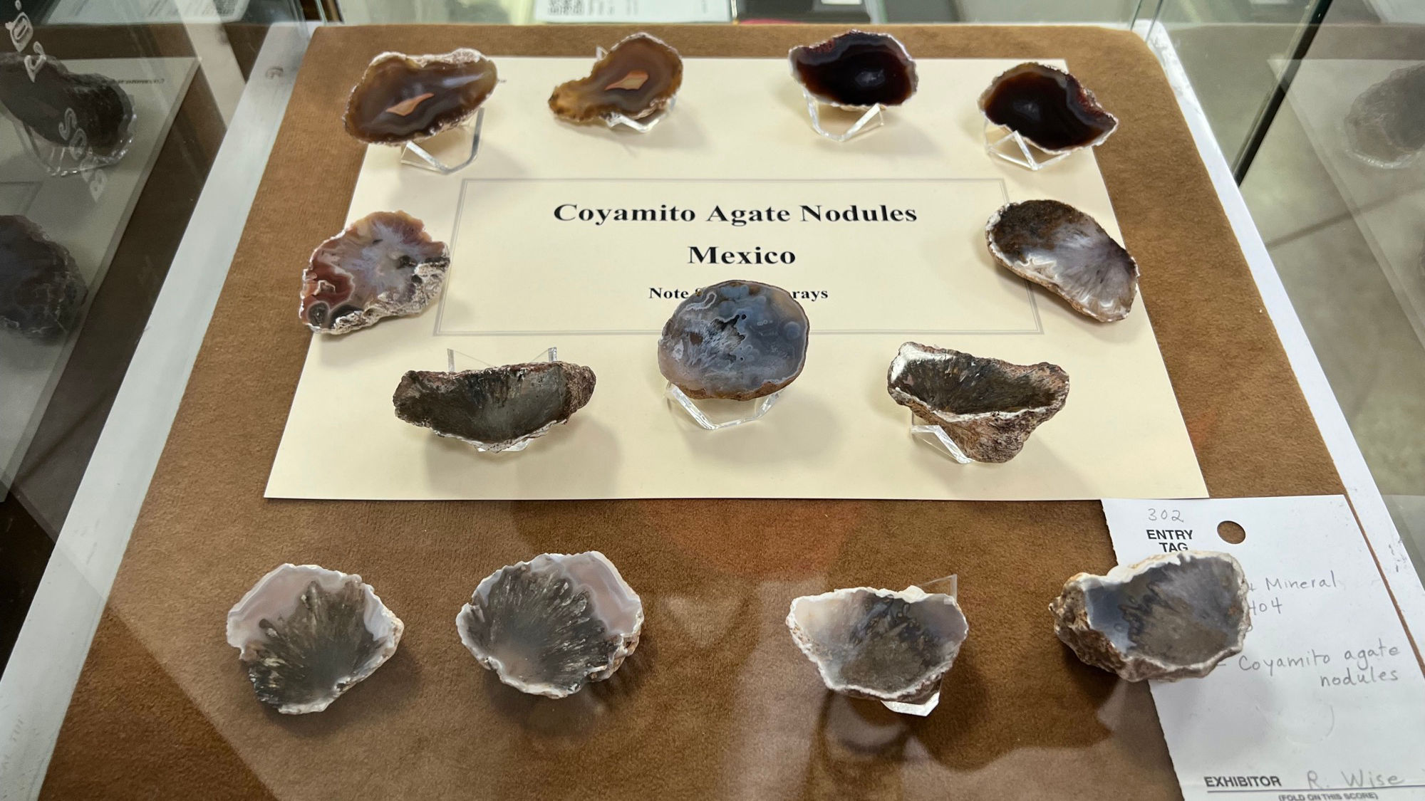 Gems and Minerals Coyamito Agate Nodules