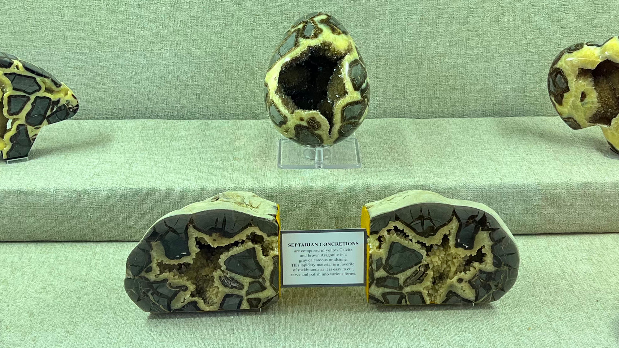 Gems & Minerals Septarian Concretions