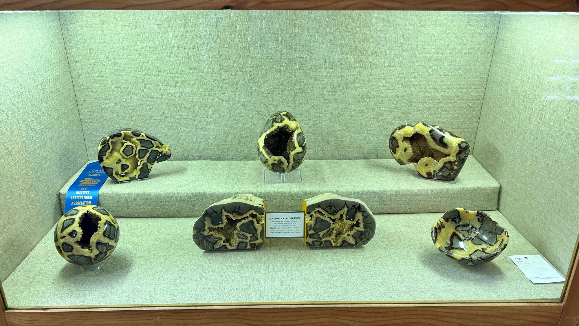 Gems & Minerals Septarian Concretions