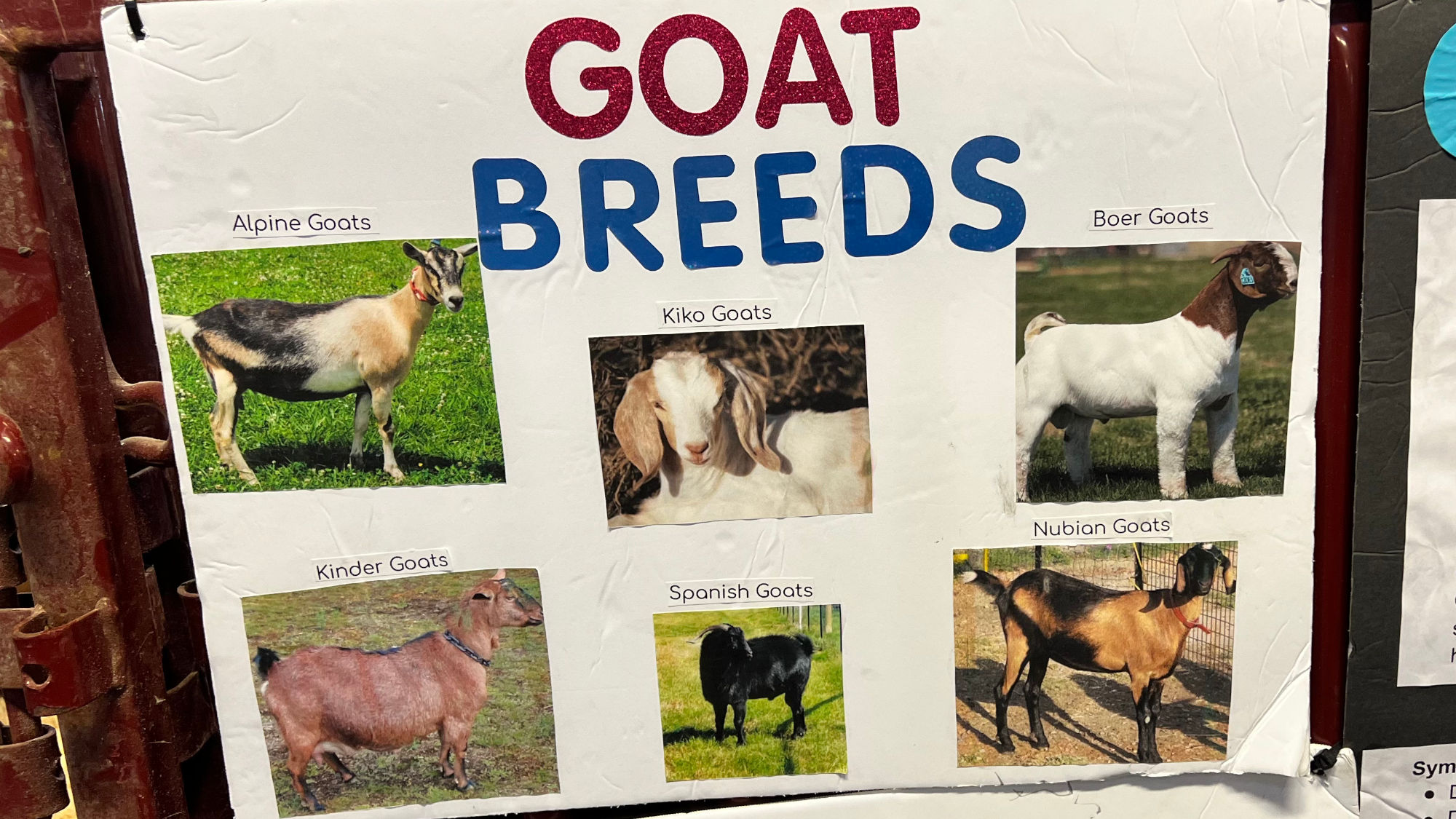 Goat Breads Goat Breads