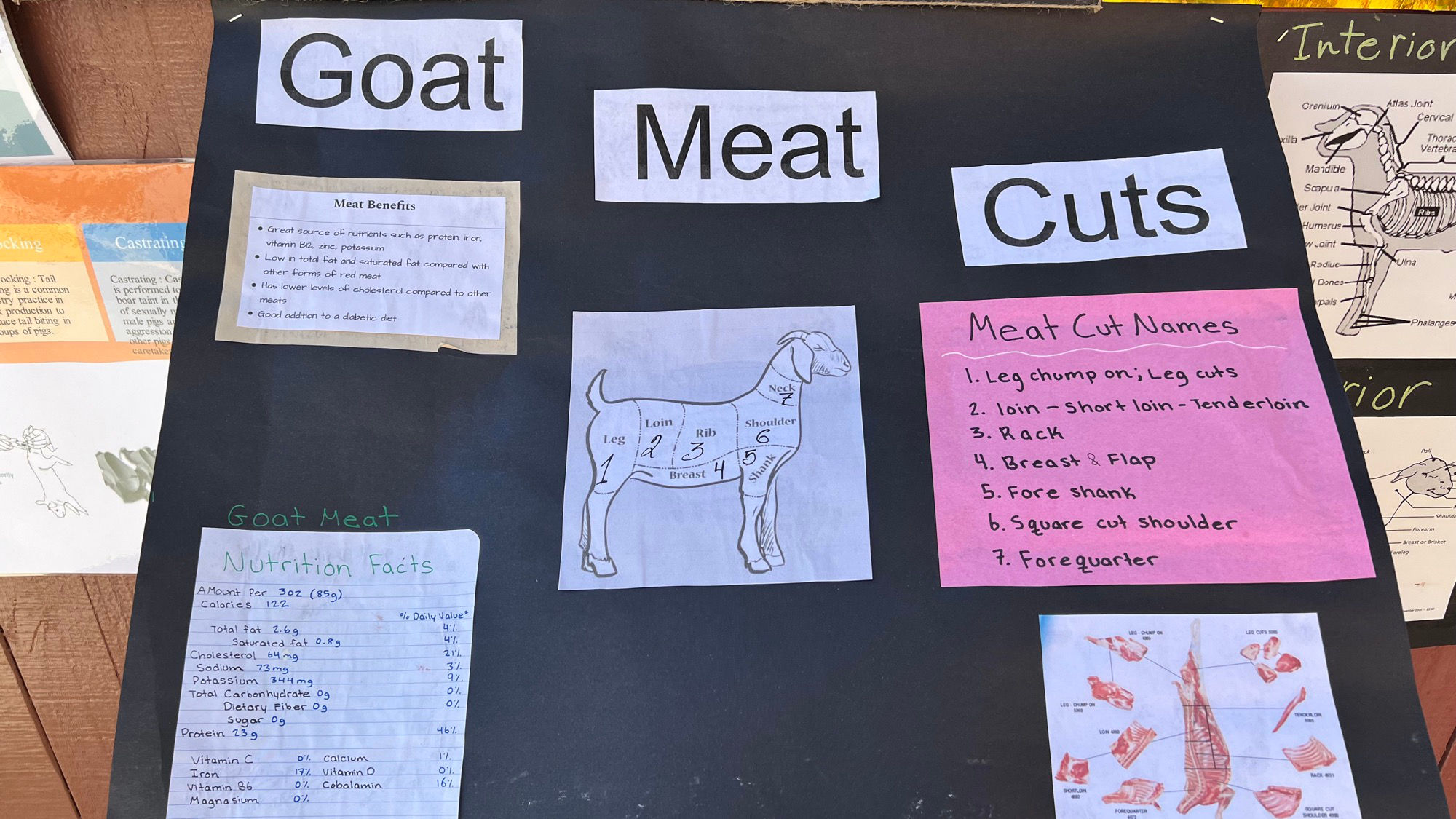 Goats Goat Meat Cuts