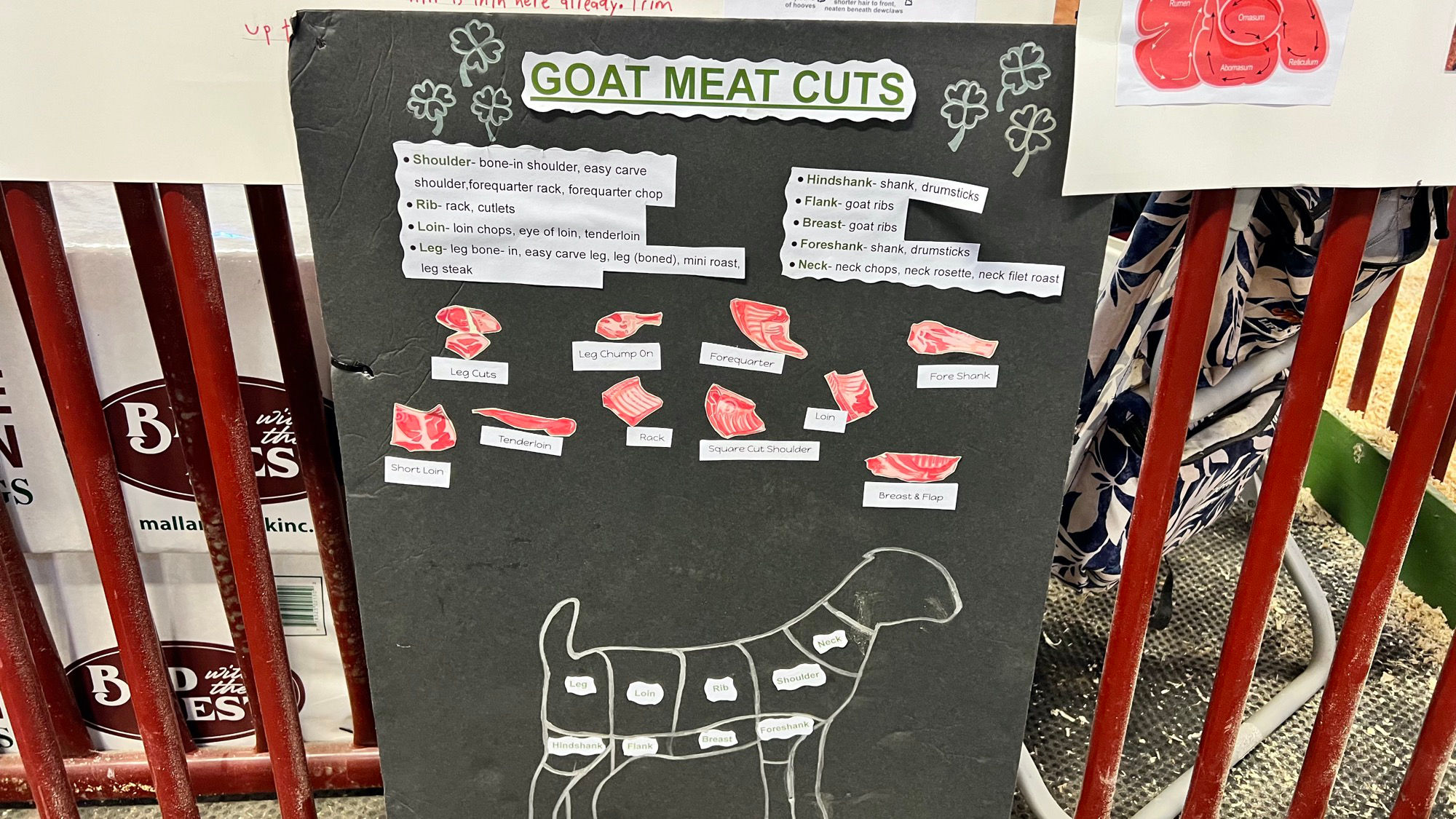 Goats Meat Cuts