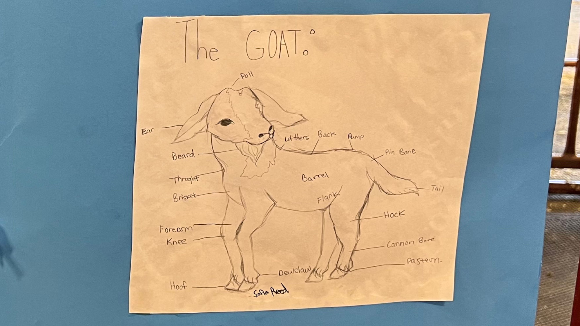 Goats World's Premier Meat