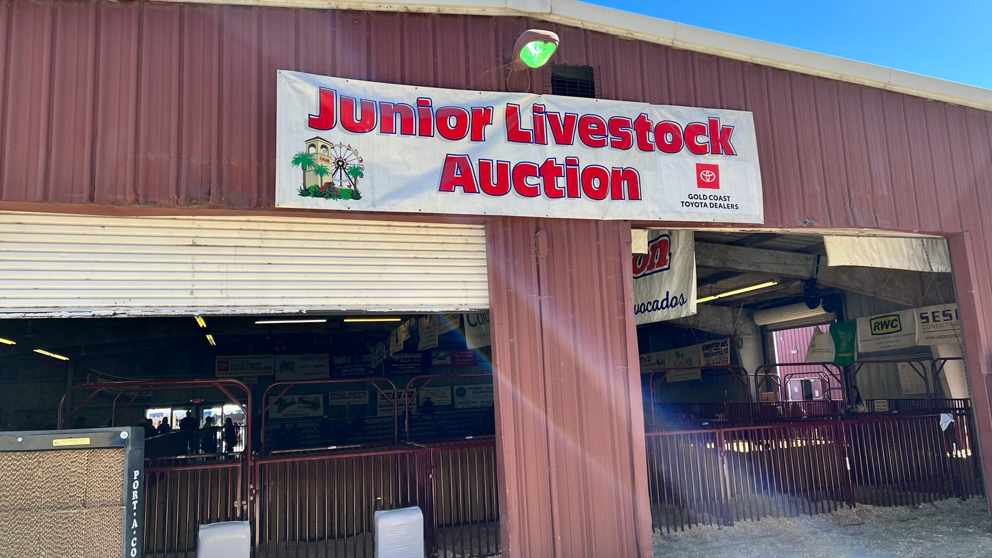 Junior Livestock Auction