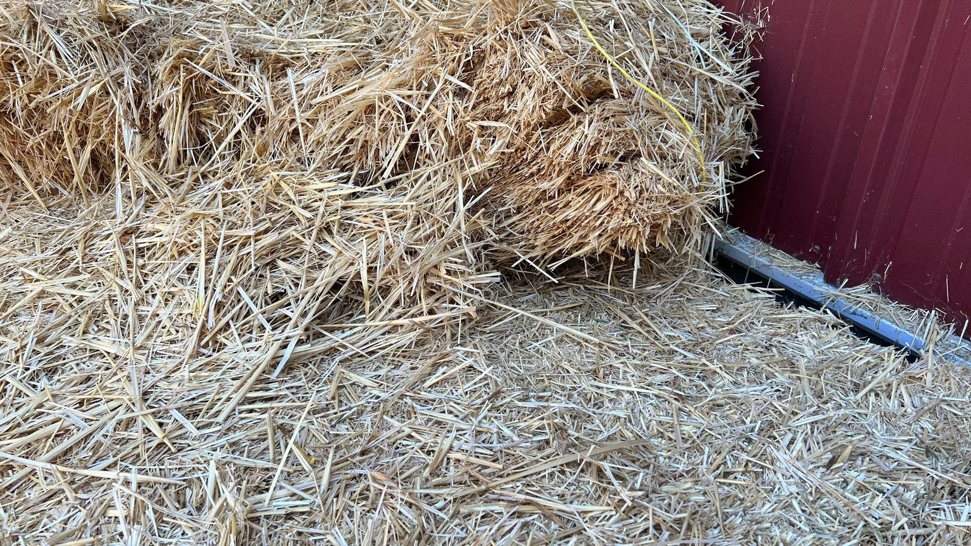Livestock Hay