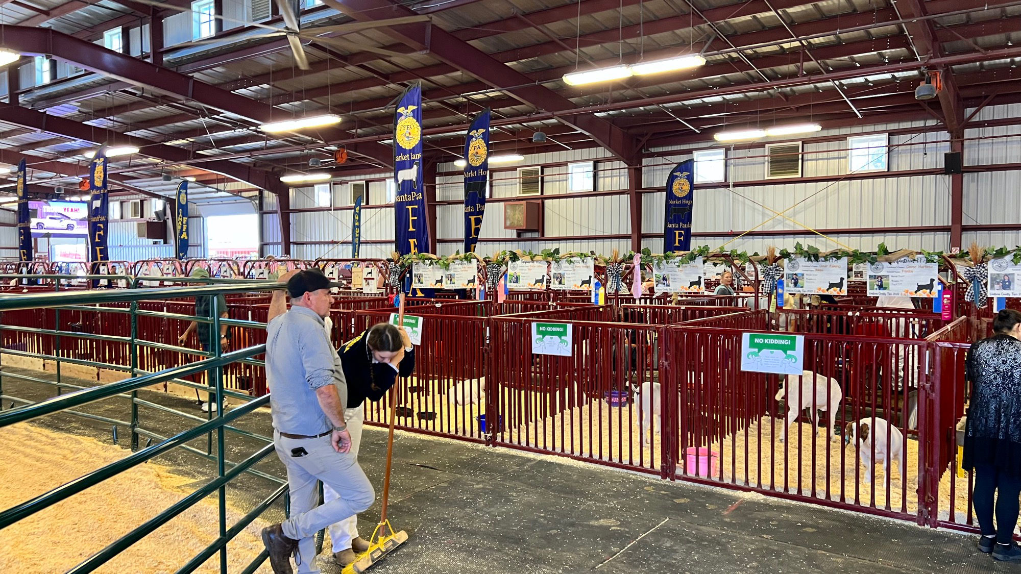 Livestock Inside Pavilion