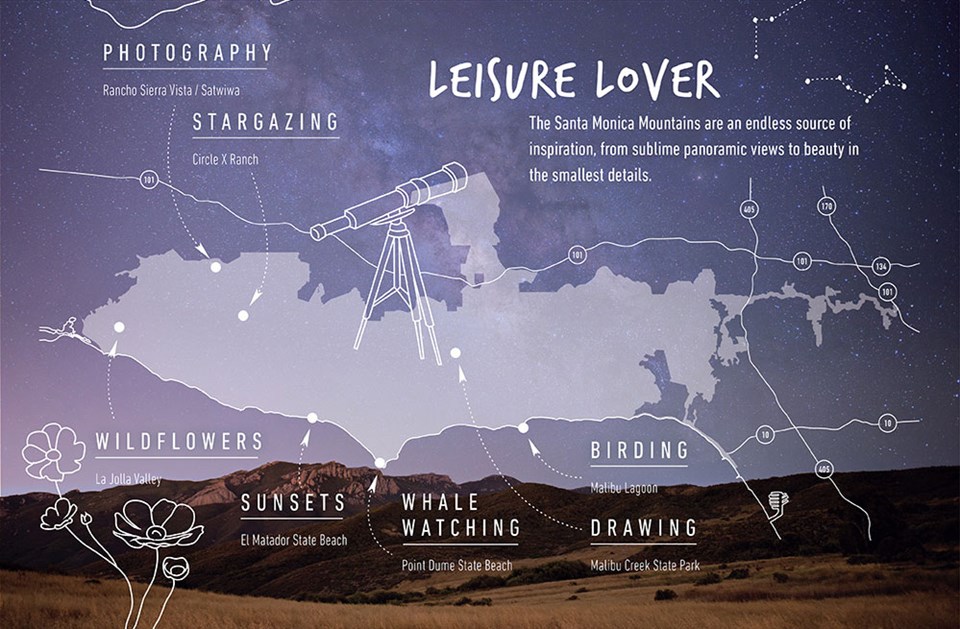 NPS Leisure Lover