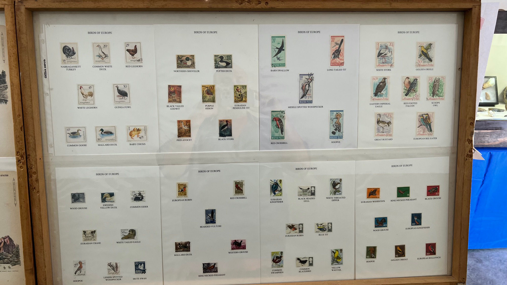 Philately Birds of Asia