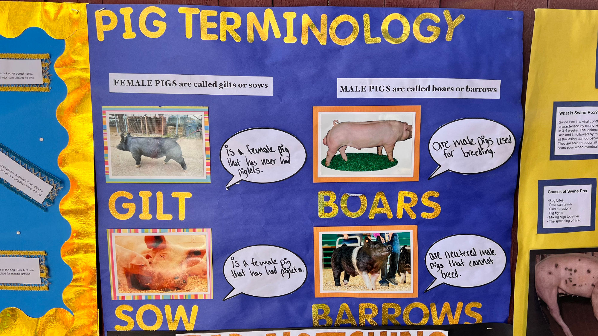 Pig Terminology