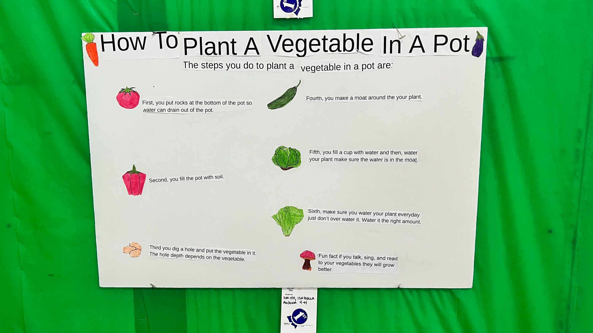 Youth Expo How to Plant a Vegetable in a Pot