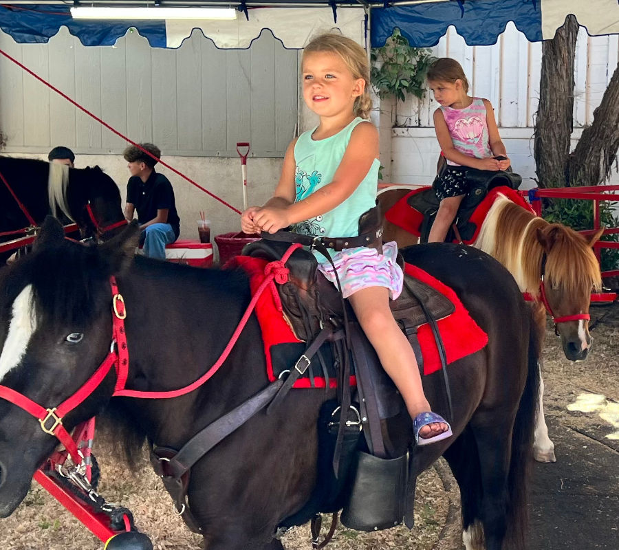 The Pony Ride