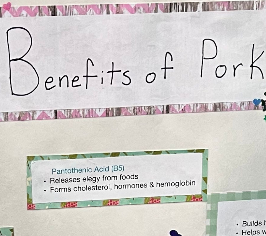 Benefits of Pork