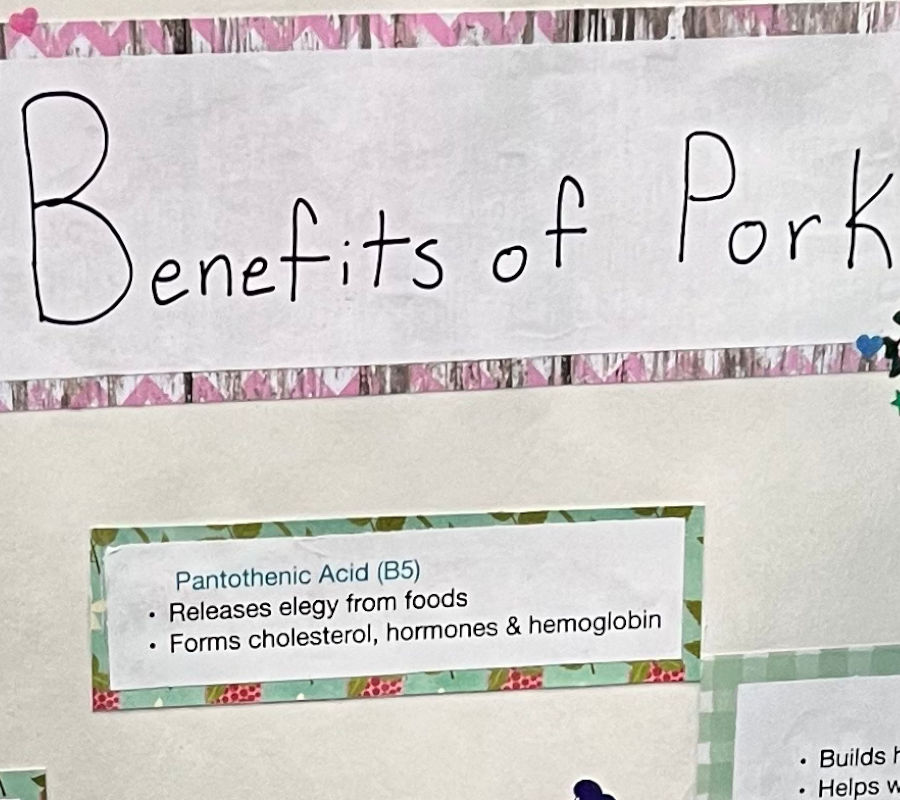 Benefits of Pork