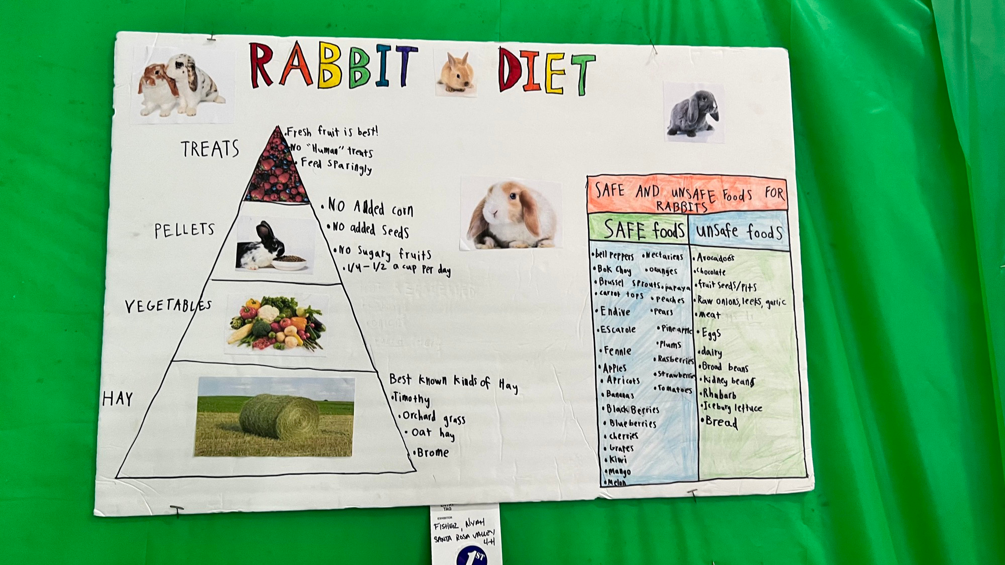 Youth Expo Rabbit Diet