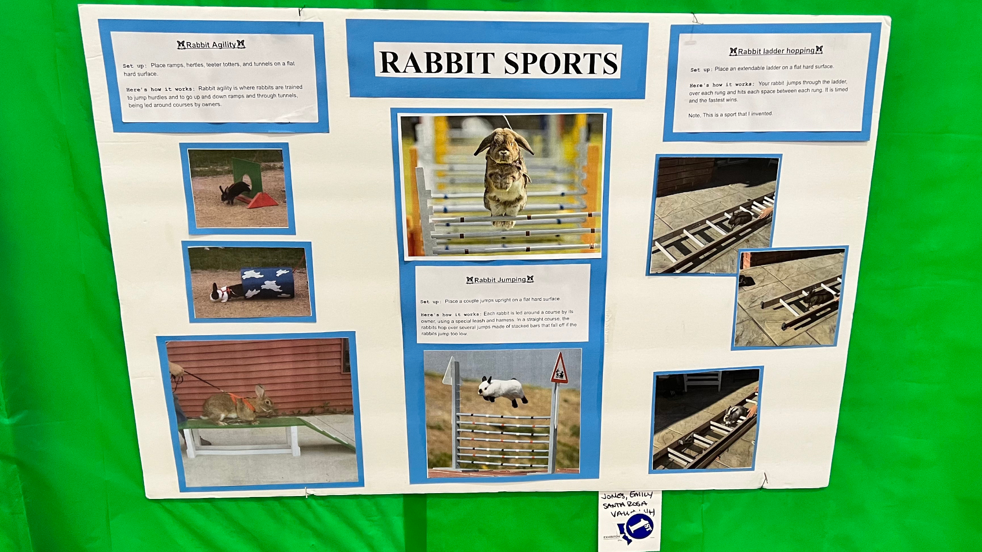 Youth Expo Rabbit Sports