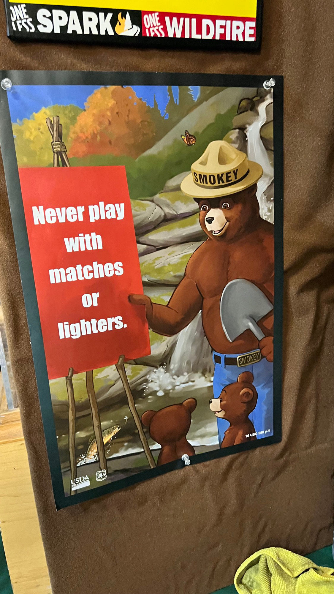 Smokey the Bear Never play with Matches