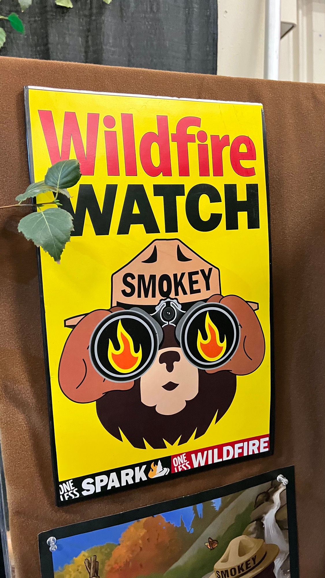 Smokey the Bear Wildfire Watch