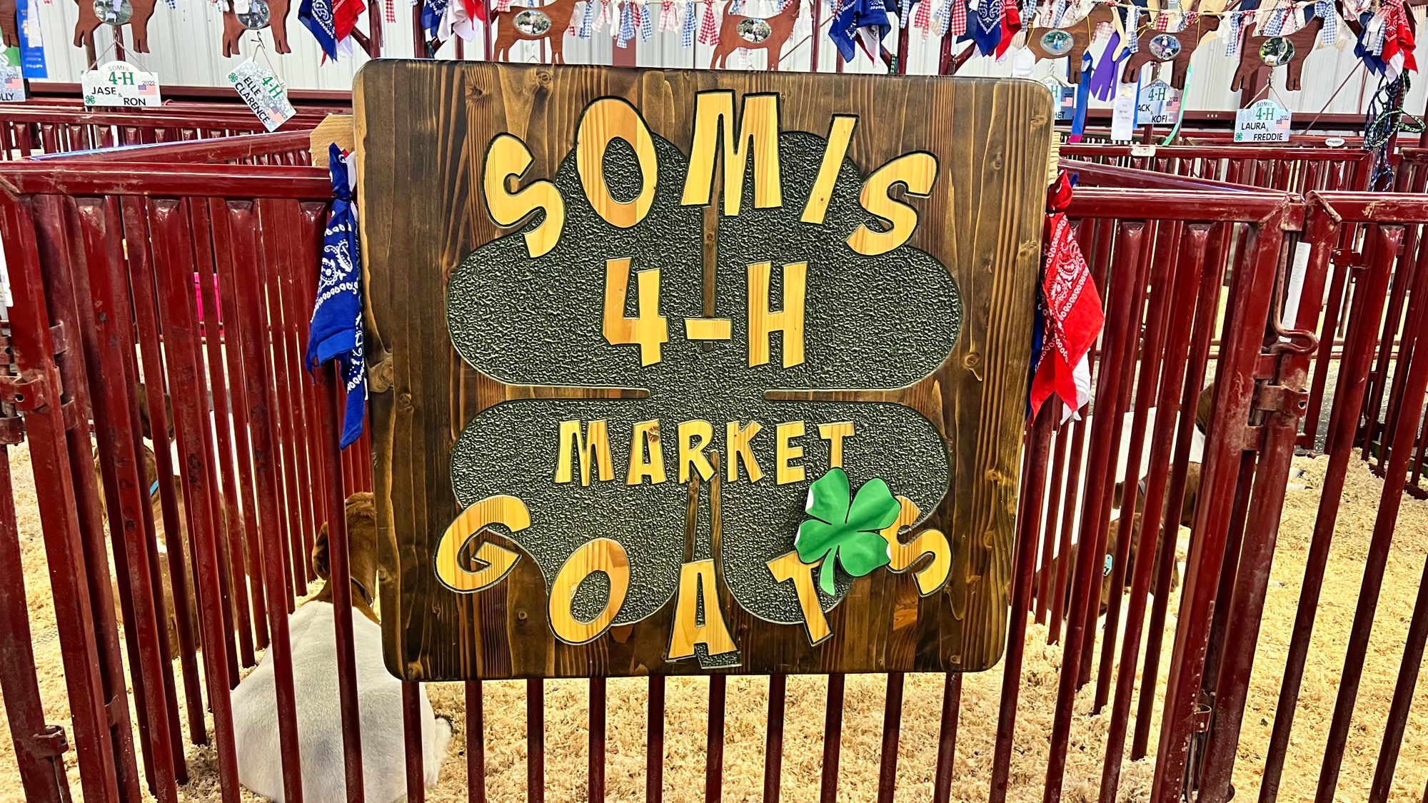 Somis 4-H Market Goats