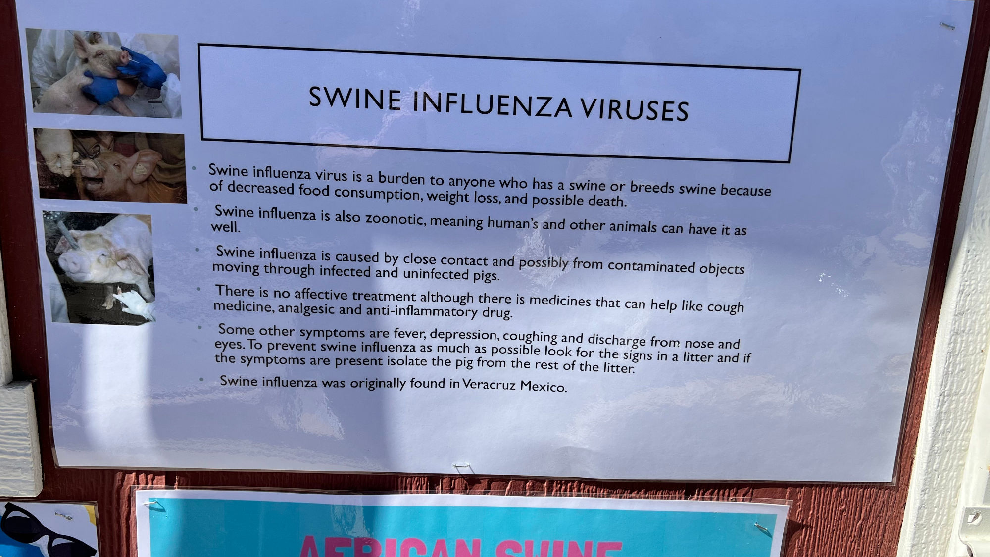 Swine Influenza Viruses