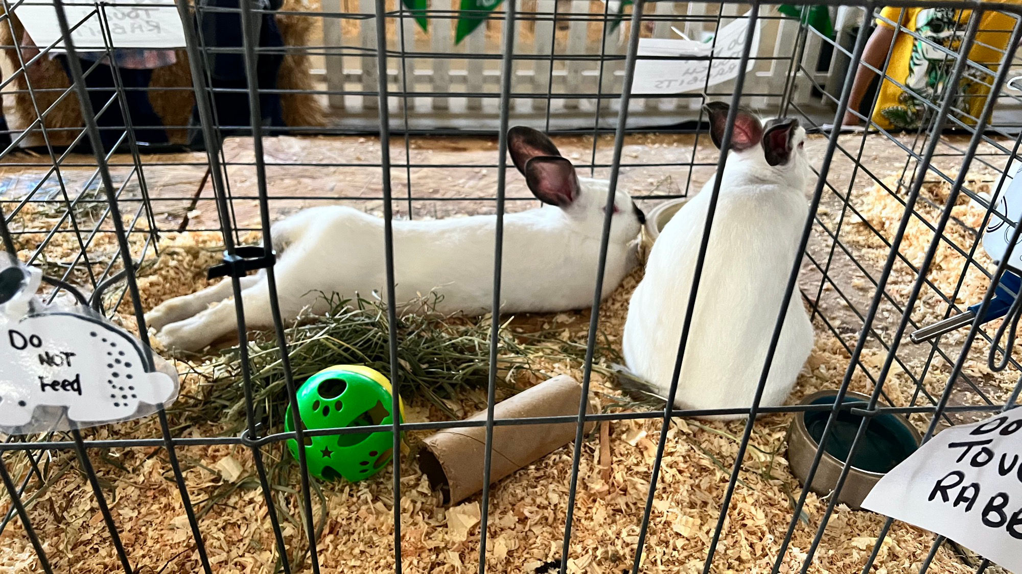 Uncle Leo's Barn Market Rabbits