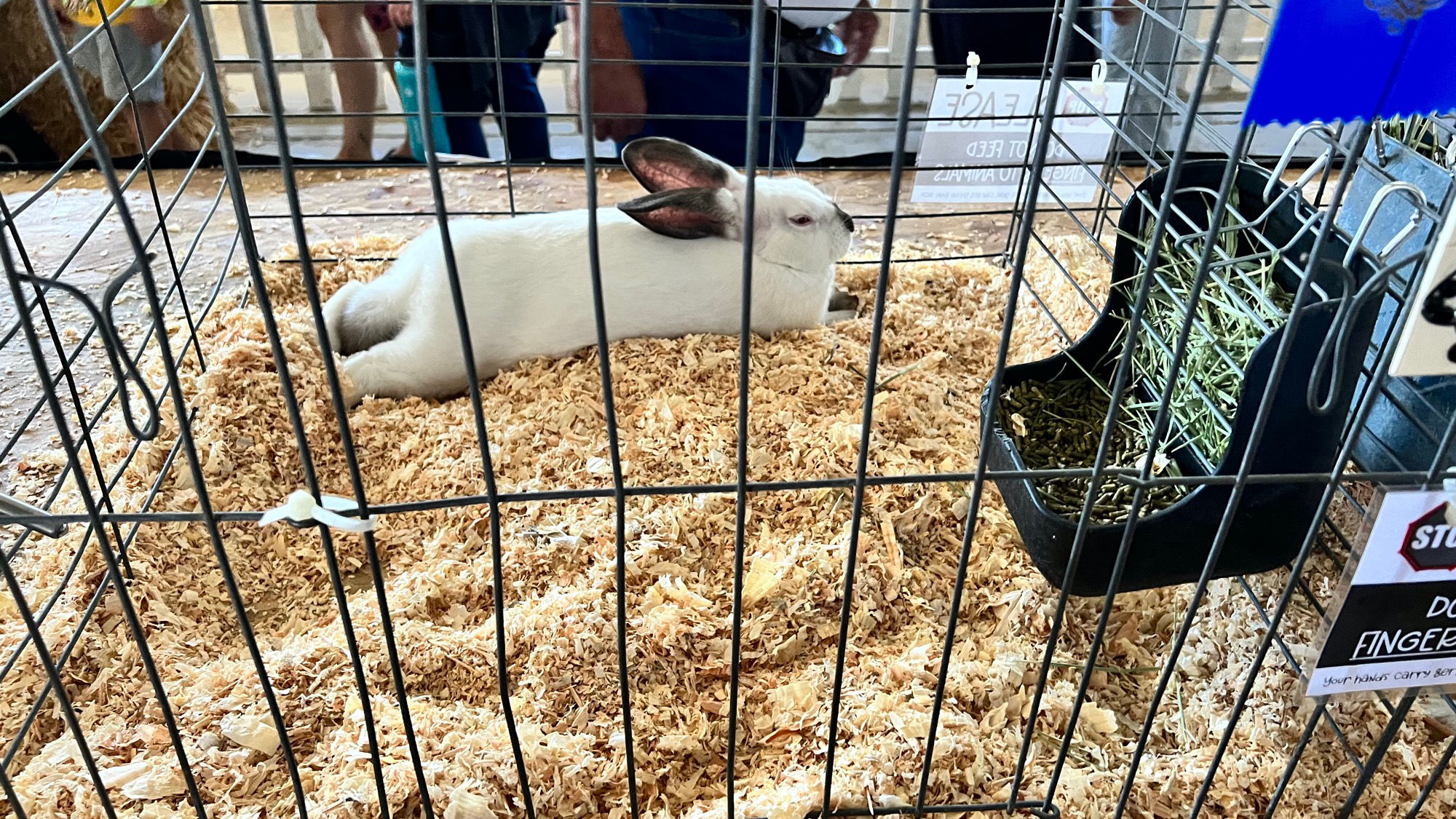 Uncle Leo's Barn Market Rabbits