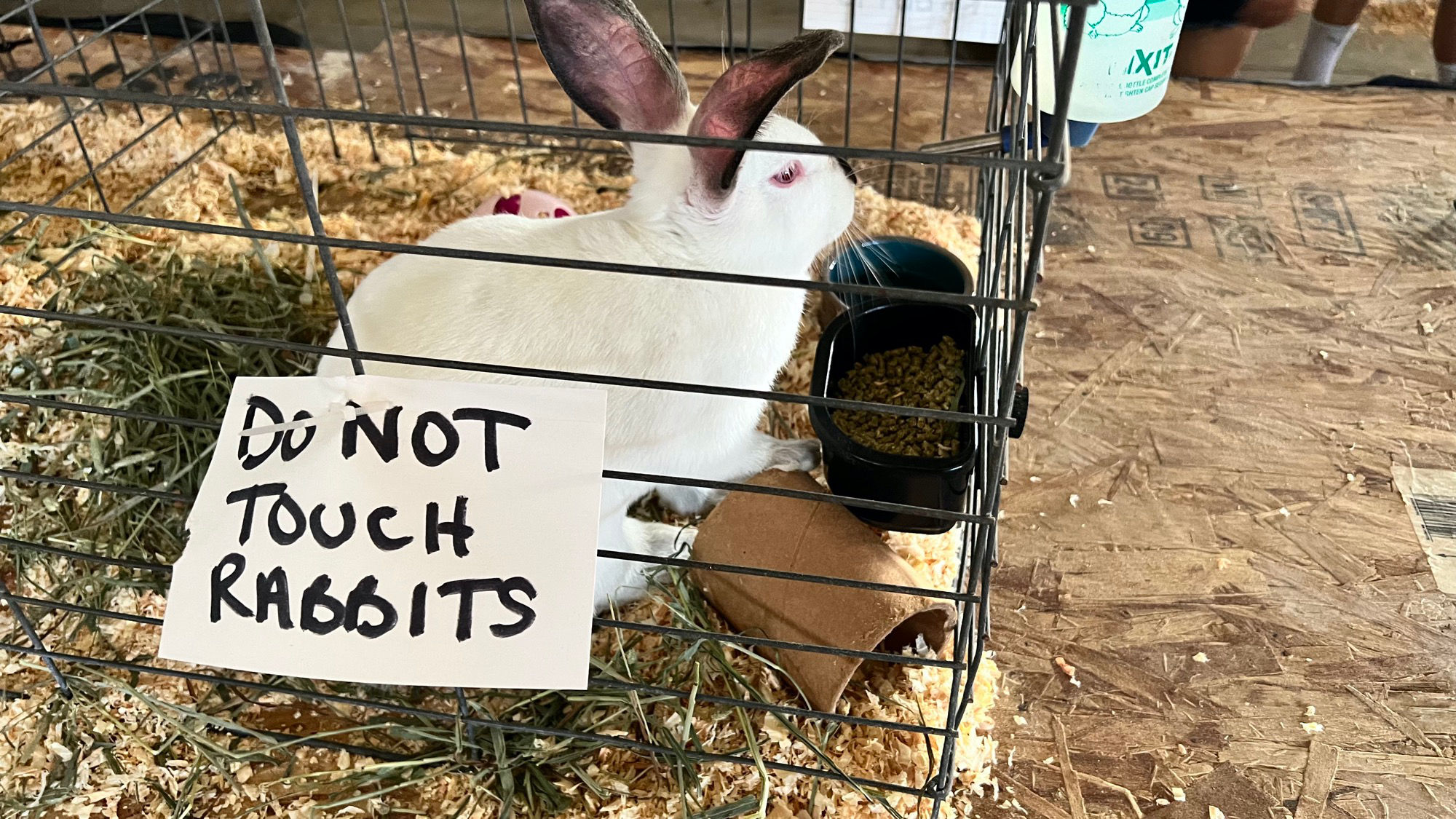 Uncle Leo's Barn Market Rabbits