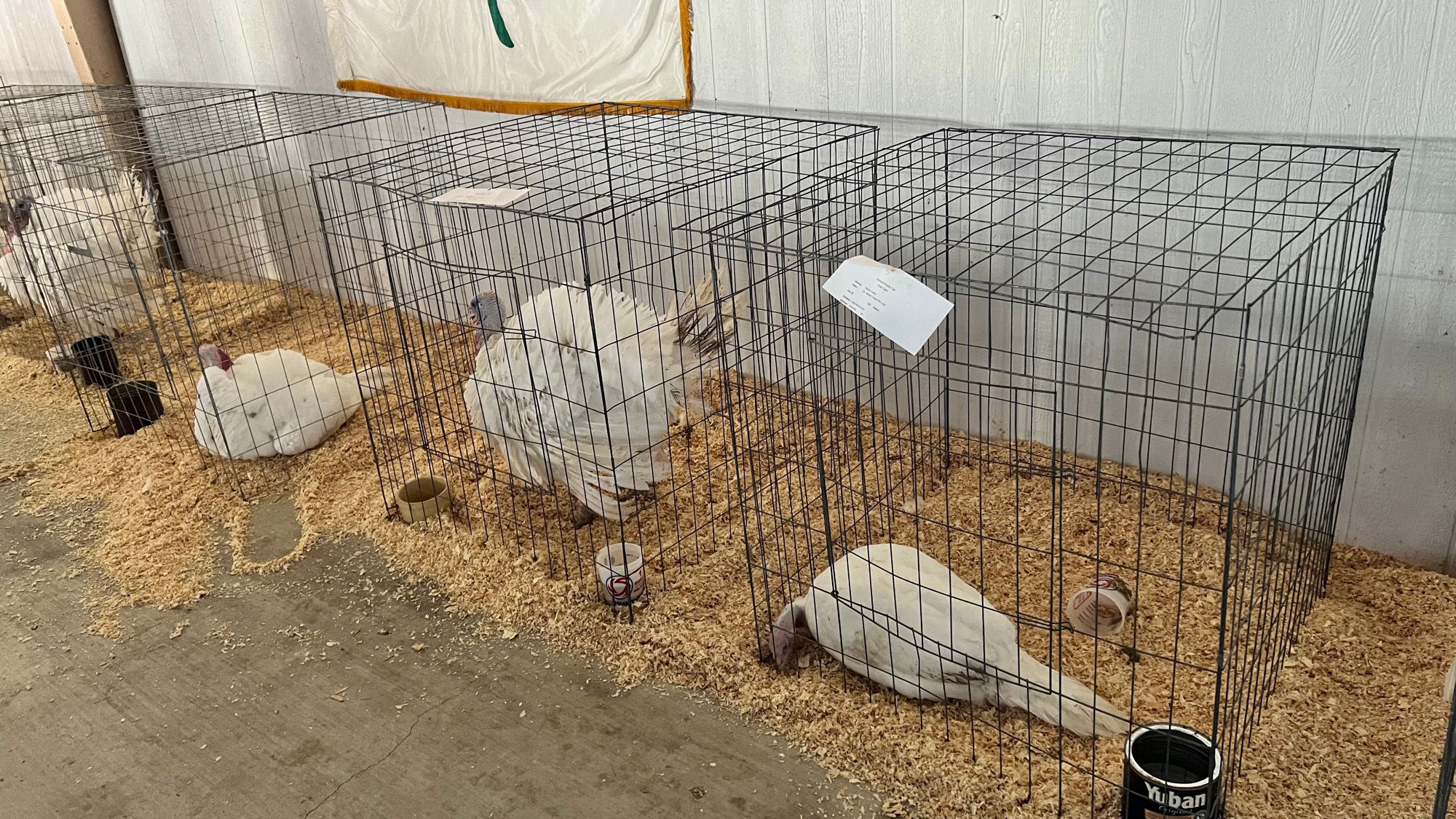 Uncle Leo's Barn Market Turkeys