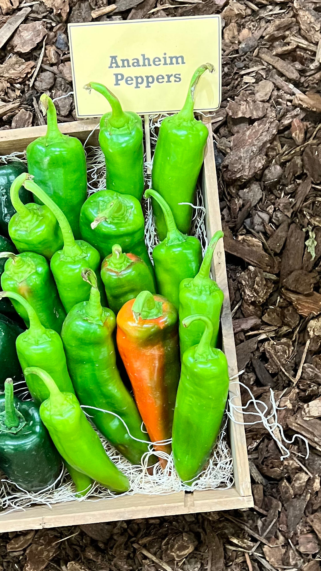 Underwood Family Farms Anaheim Peppers