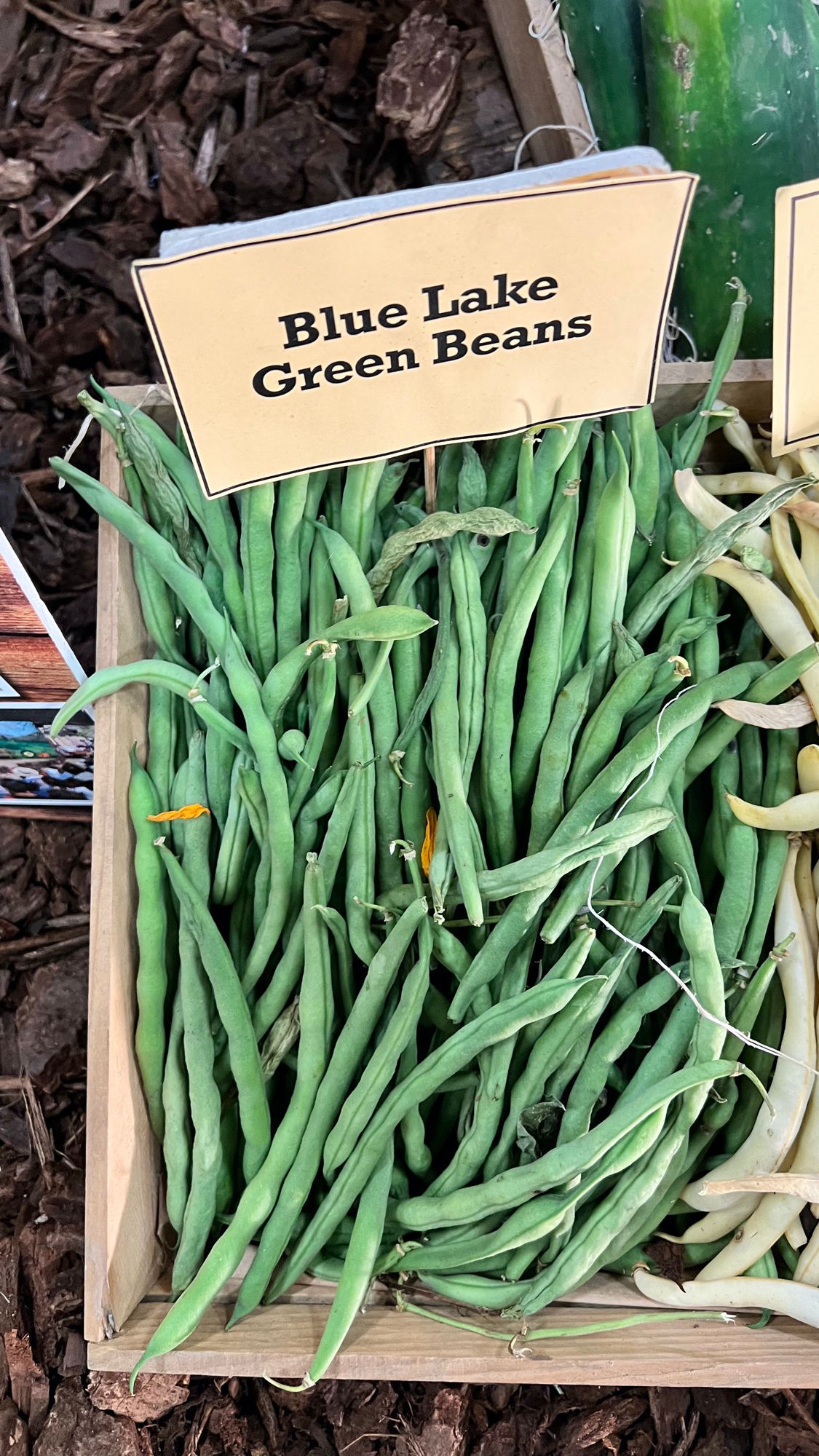 Underwood Family Farms Blue Lake Green Beans