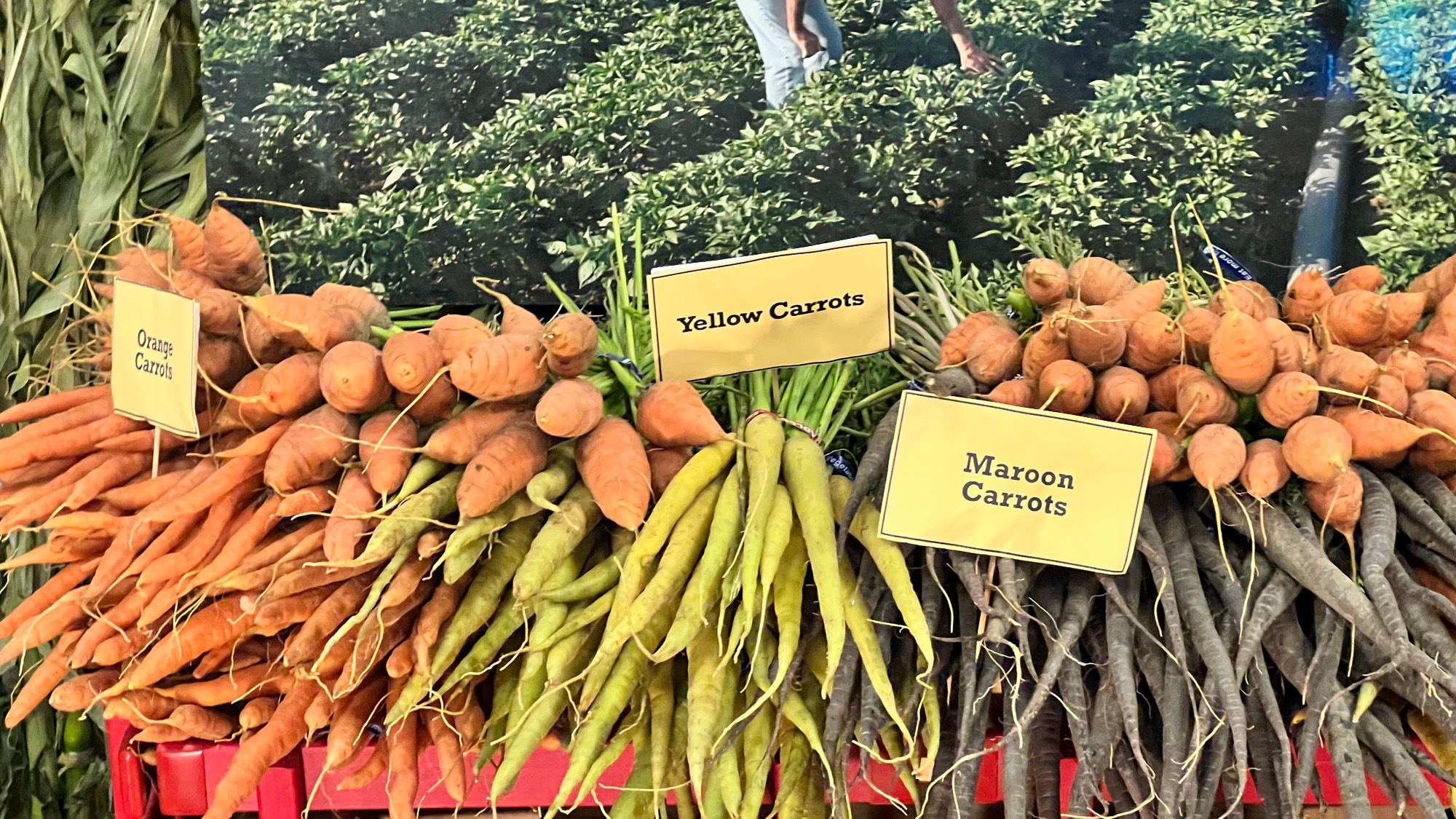 Underwood Family Farms Carrots