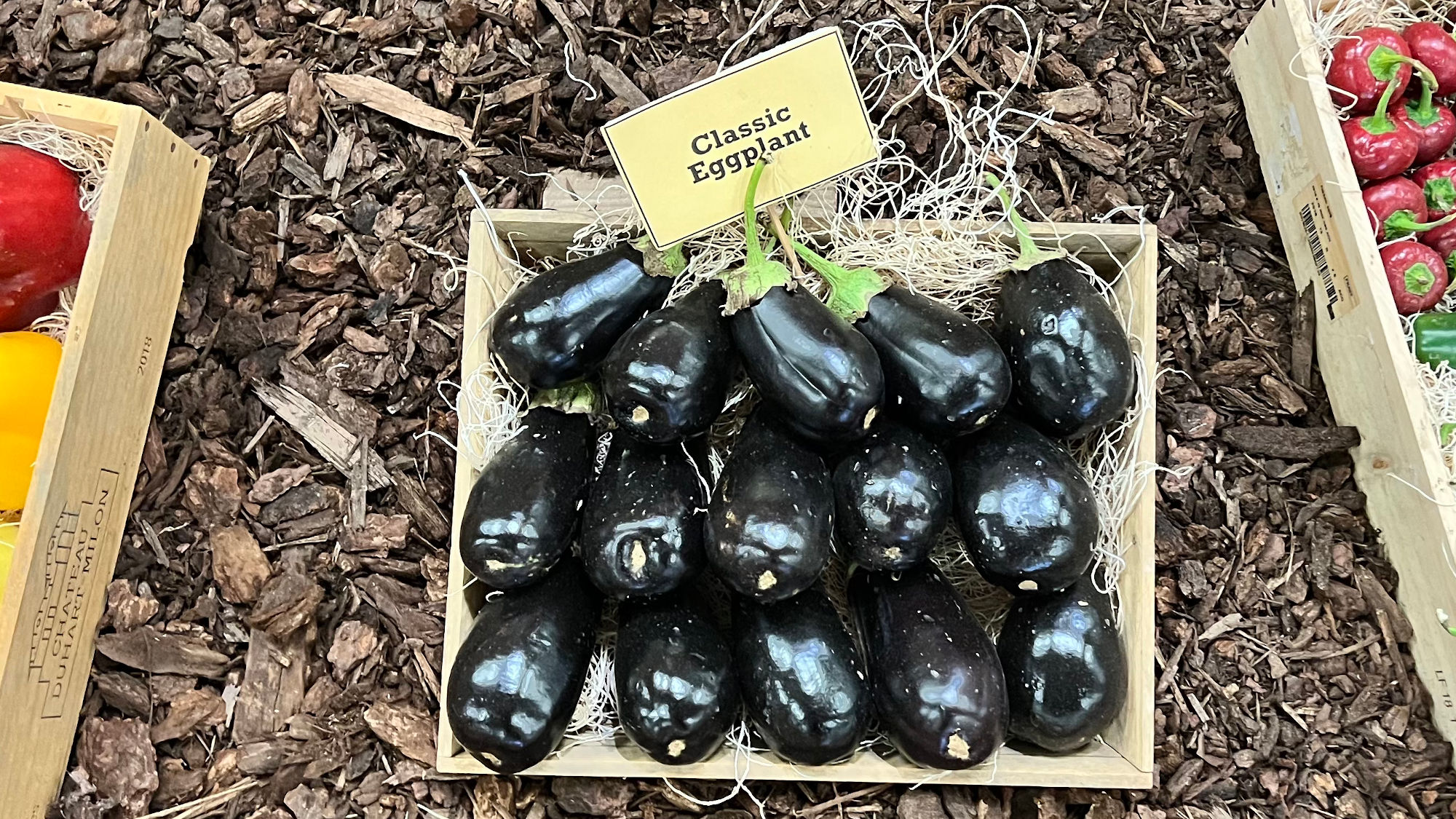 Underwood Family Farms Classic Eggplant