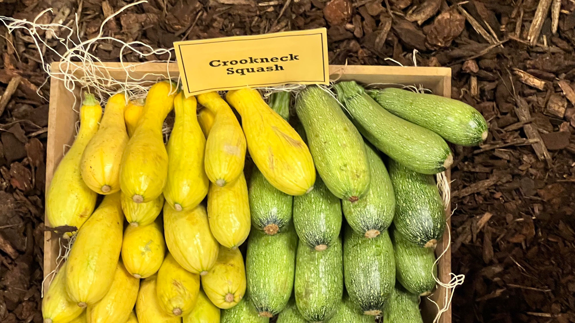 Underwood Family Farms Crookneck Squash