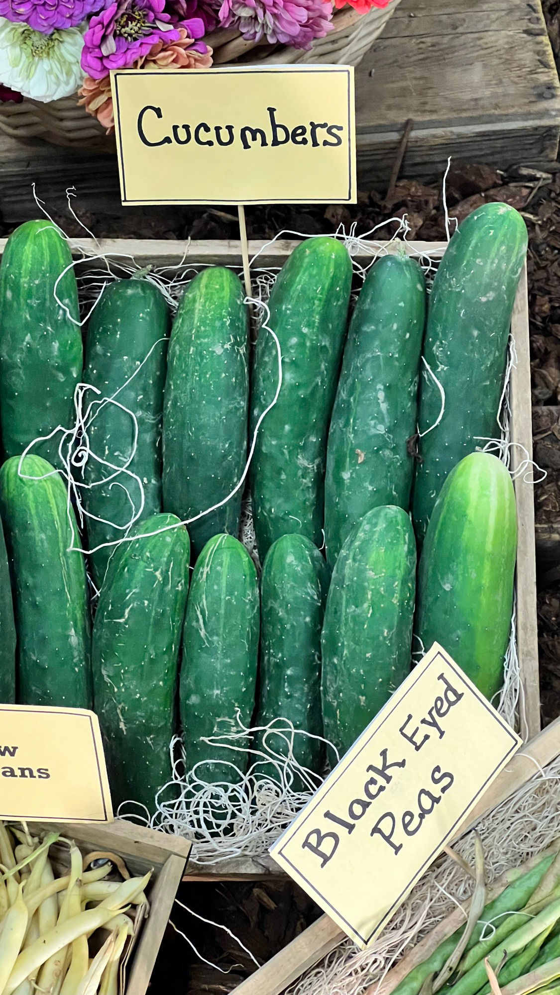 Underwood Family Farms Cucumbers