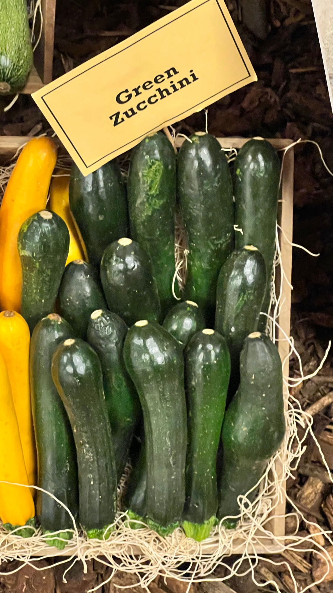 Underwood Family Farms Green Zucchini