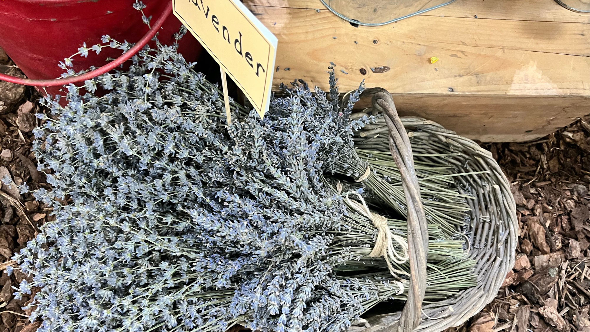 Underwood Family Farms Lavender