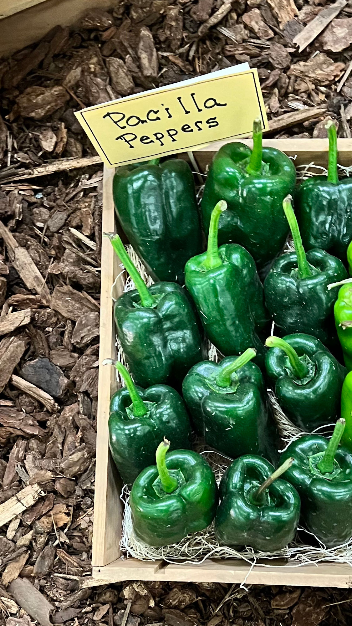 Underwood Family Farms Pacilla Peppers
