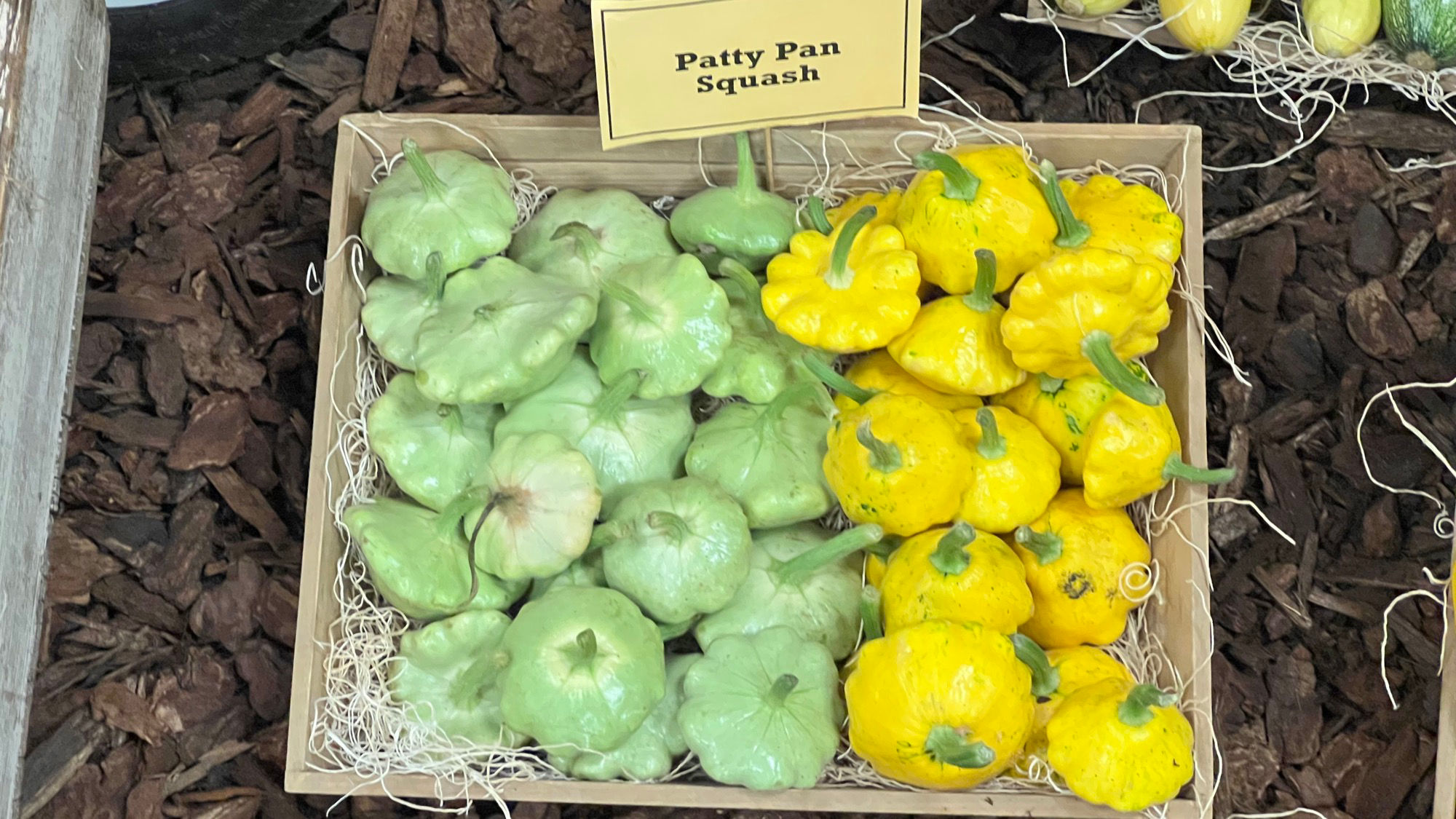 Underwood Family Farms Patty Pan Squash