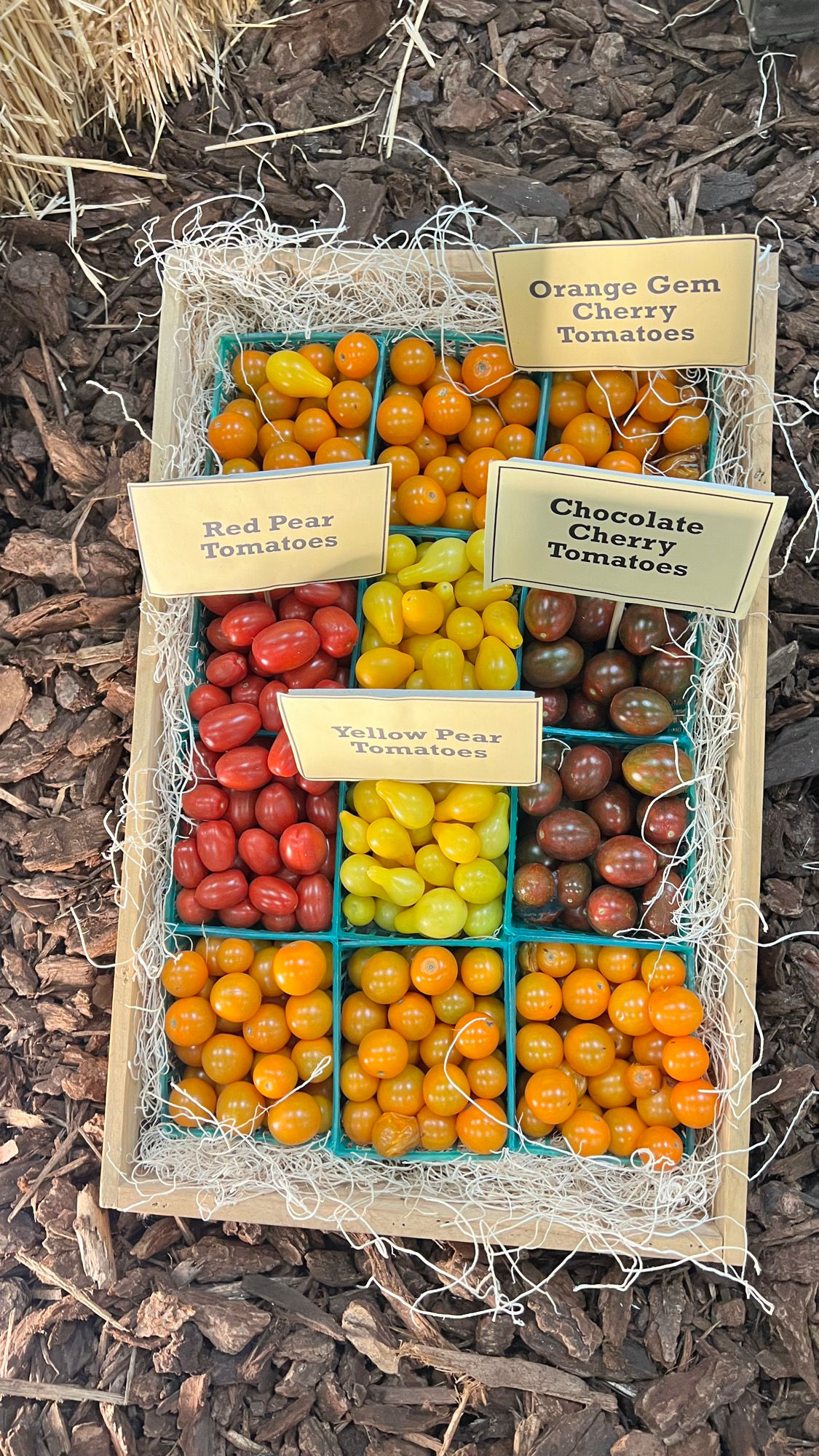 Underwood Family Farms Pear Tomatoes