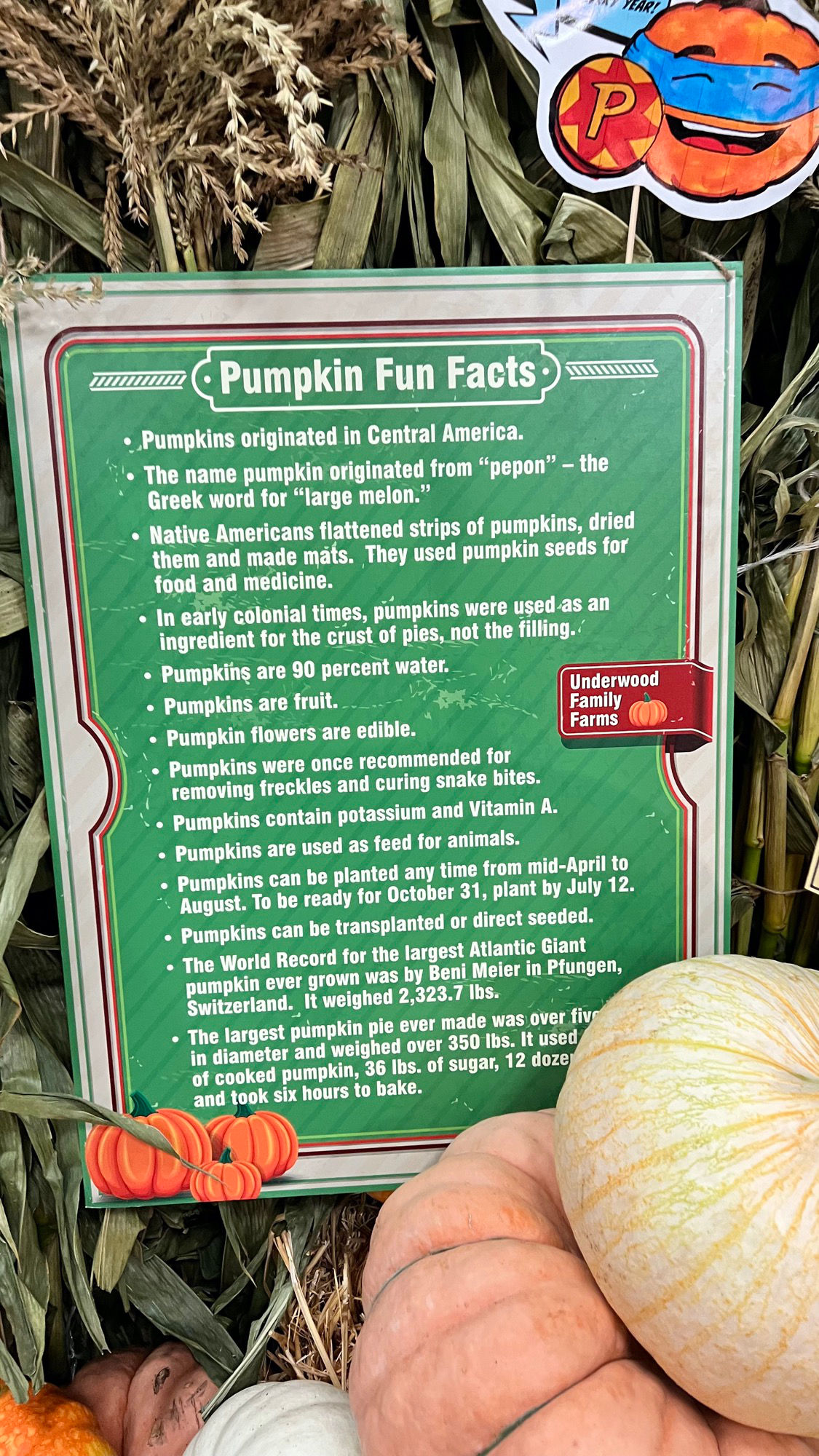 Underwood Family Farms Pumpkin Fun Facts