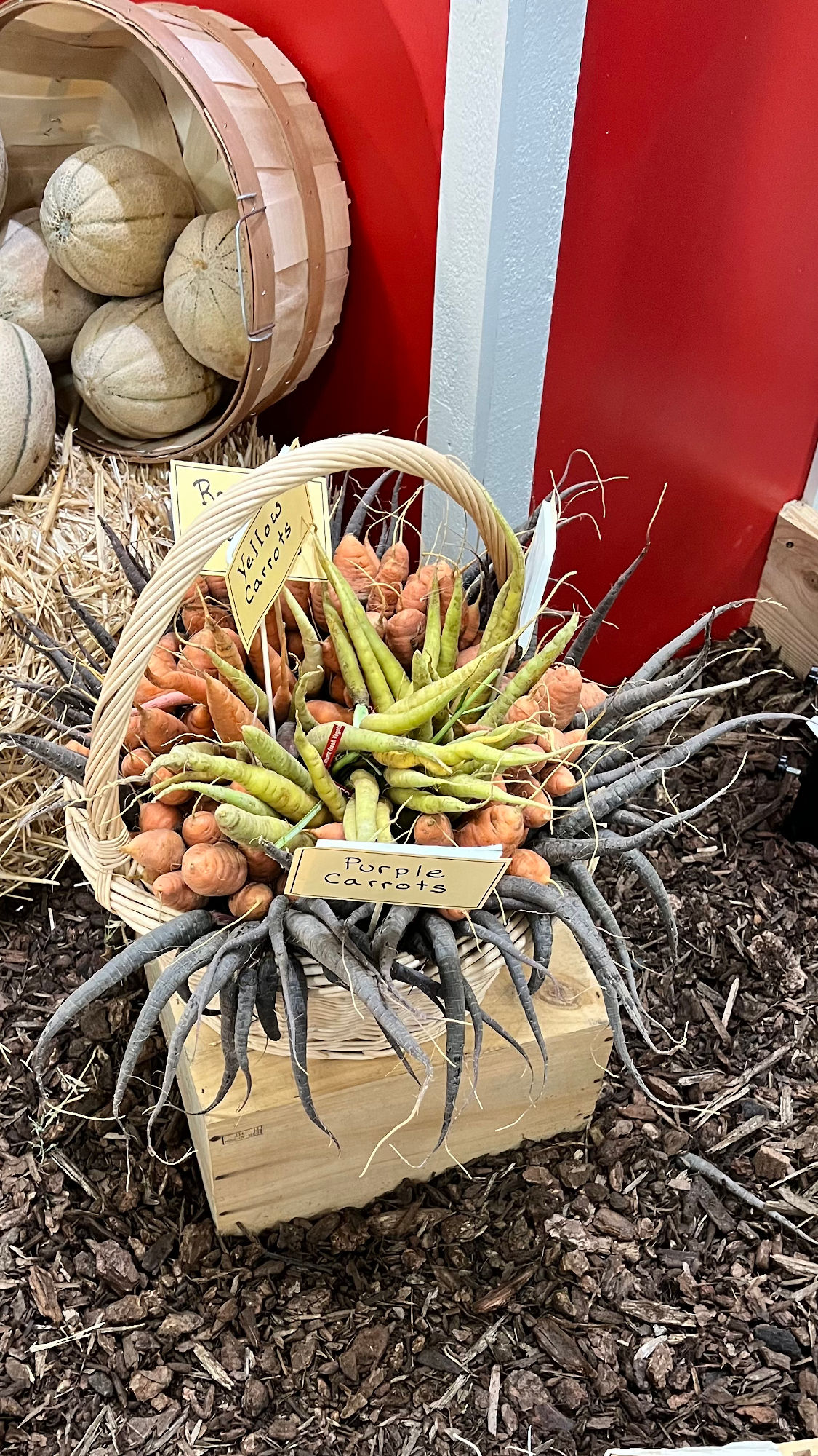 Underwood Family Farms Purple Carrots