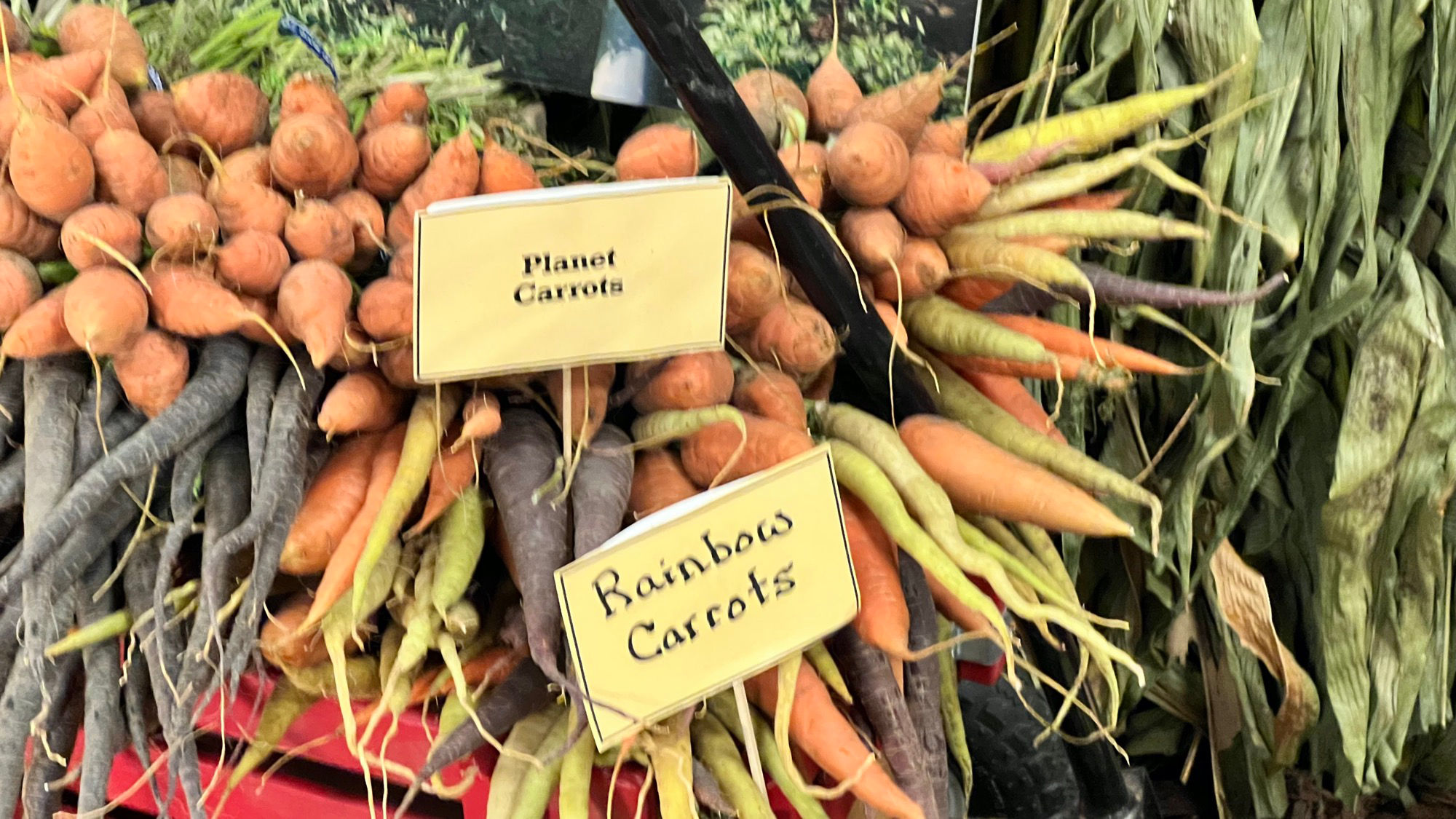 Underwood Family Farms Carrots