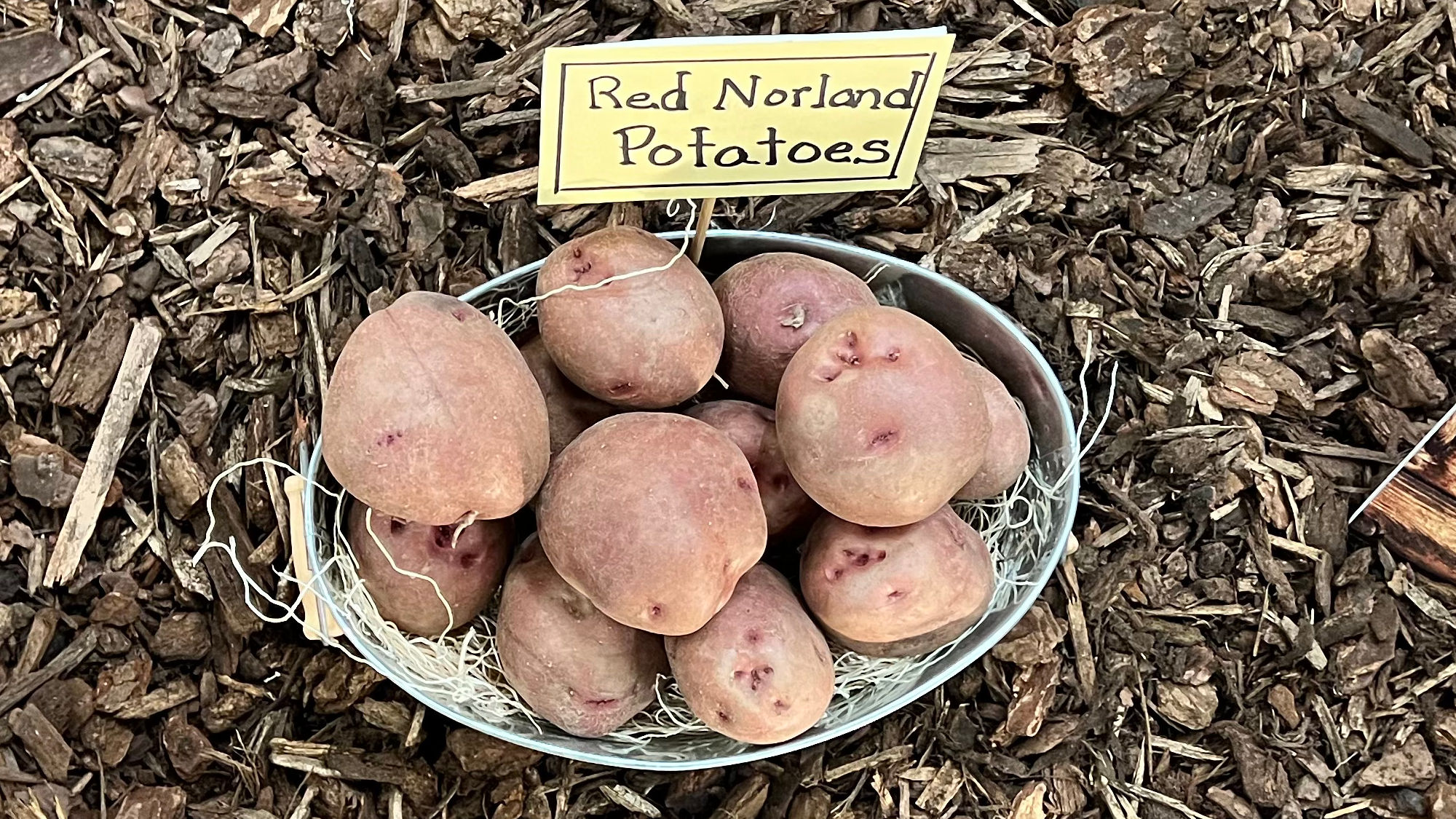 Underwood Family Farms Red Norland Potatoes